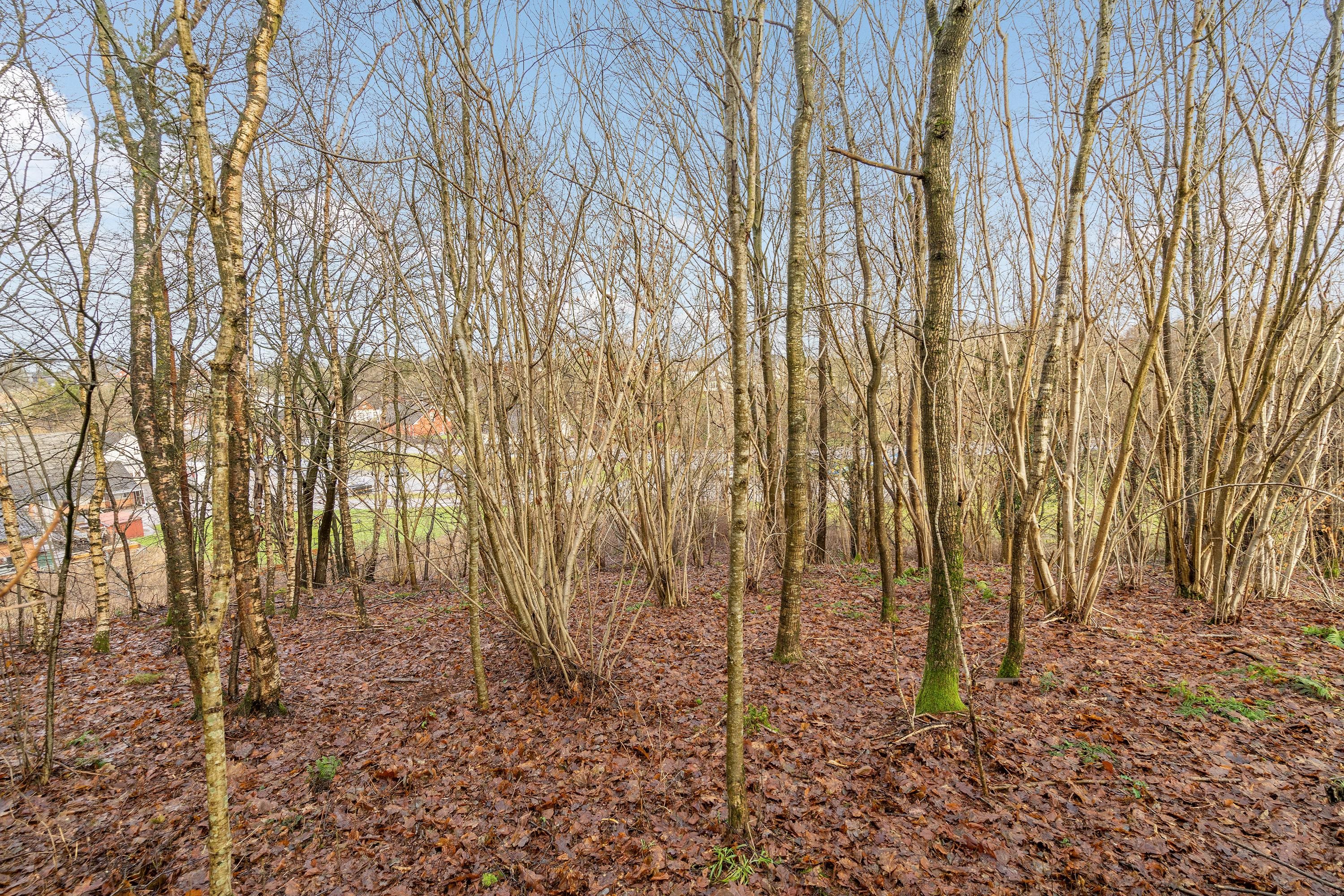 Fremhævet grund billede i fuldskærmstilstand. Billede af Søndergade 34, 6040 Egtved