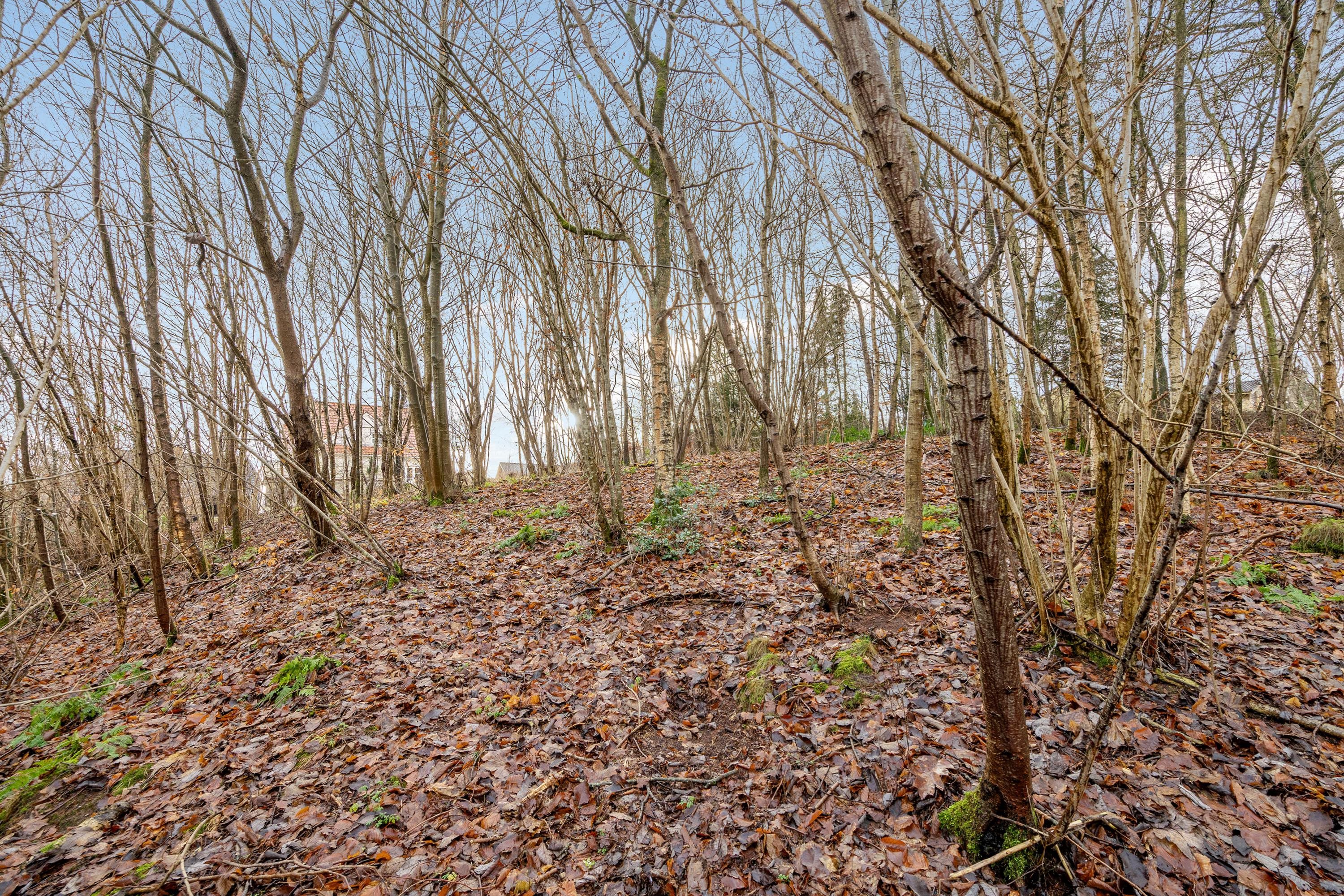 Fremhævet grund billede i fuldskærmstilstand. Billede af Søndergade 34, 6040 Egtved
