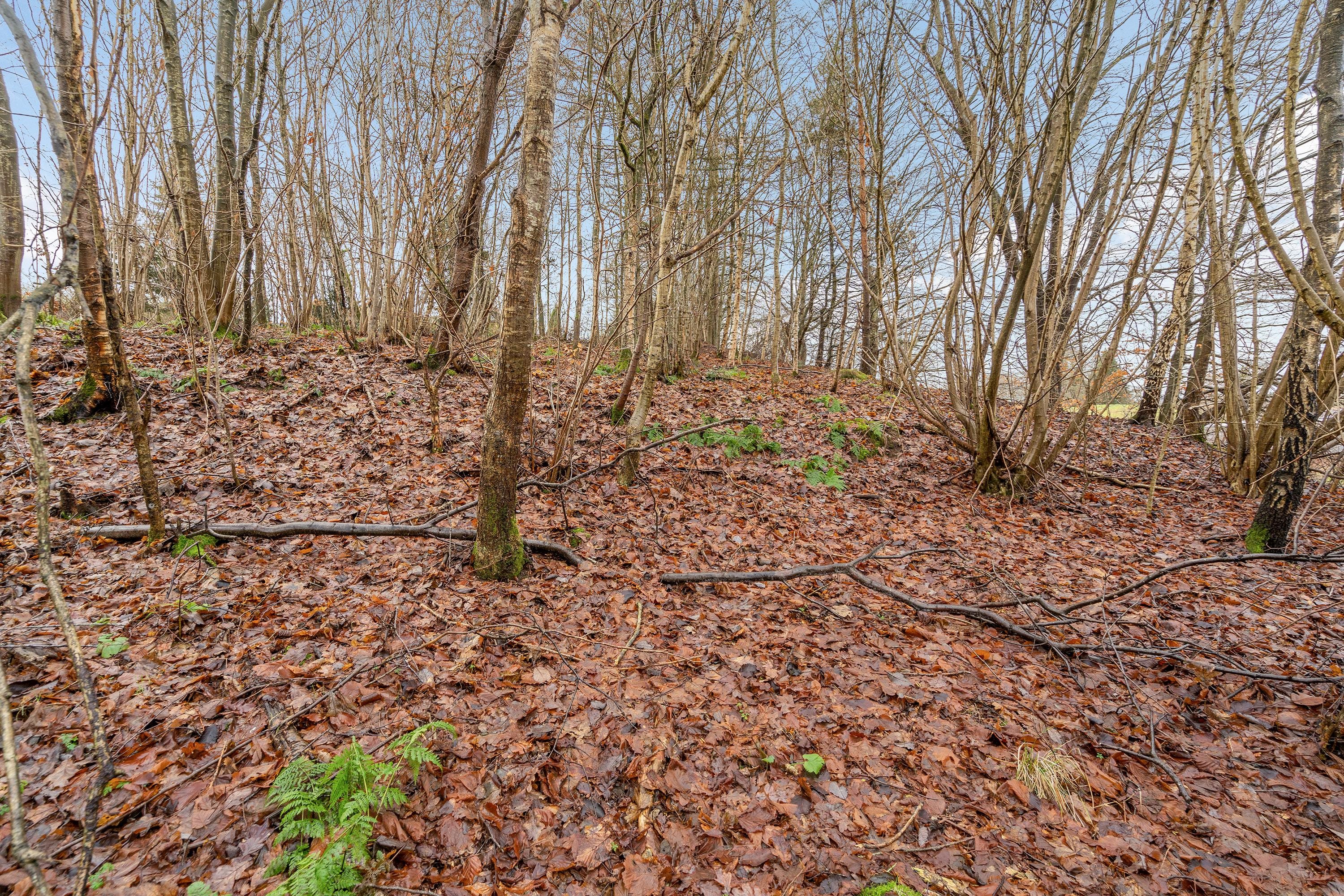 Fremhævet grund billede i fuldskærmstilstand. Billede af Søndergade 34, 6040 Egtved