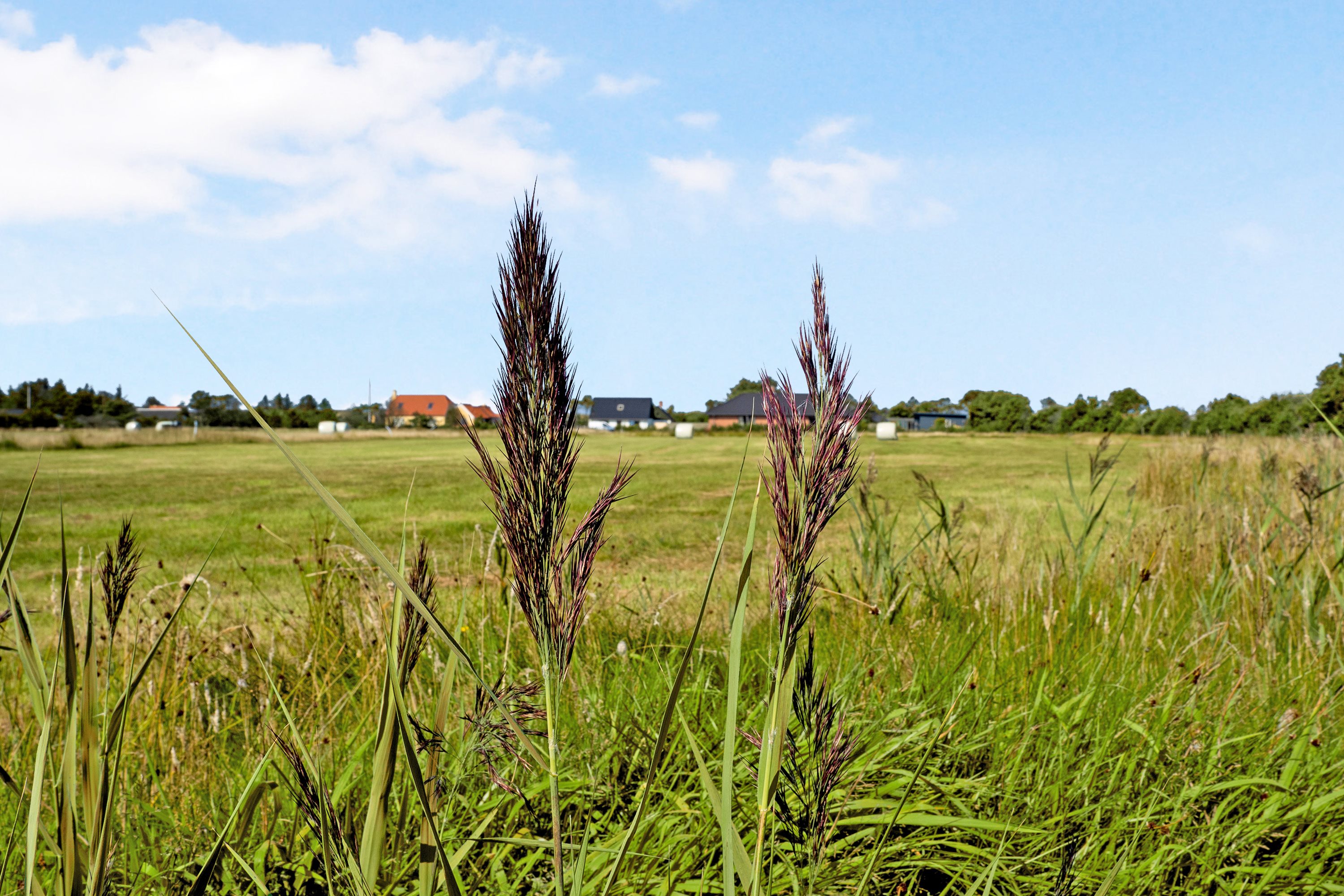 Fremhævet omgivelser billede i fuldskærmstilstand. Billede af Stenbjerg Parken 12, Stenbjerg, 7752 Snedsted