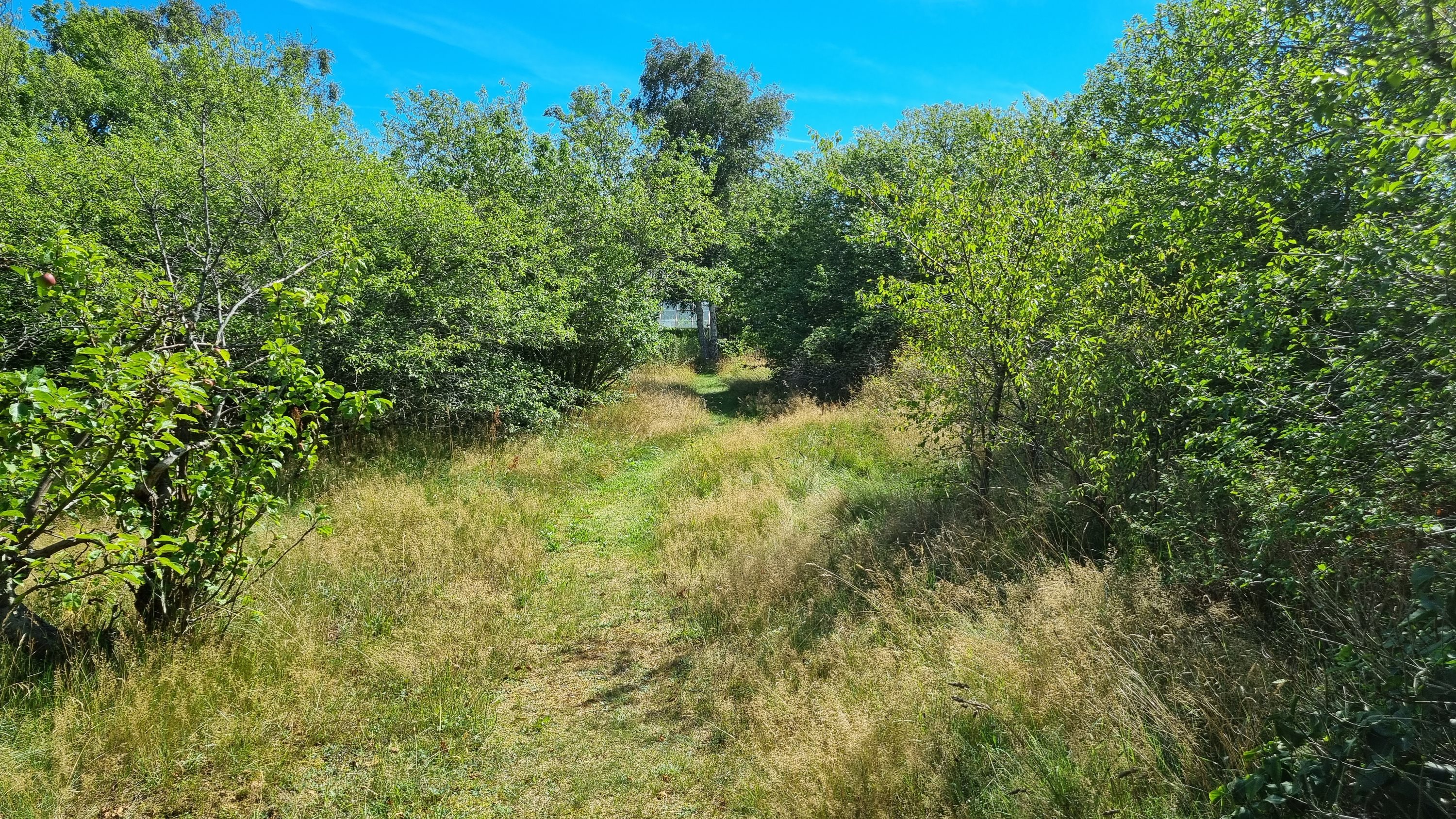 Miniaturebillede 1: andet. Billede af Peter Danielsvej 7, Østerby Havn, 9940 Læsø