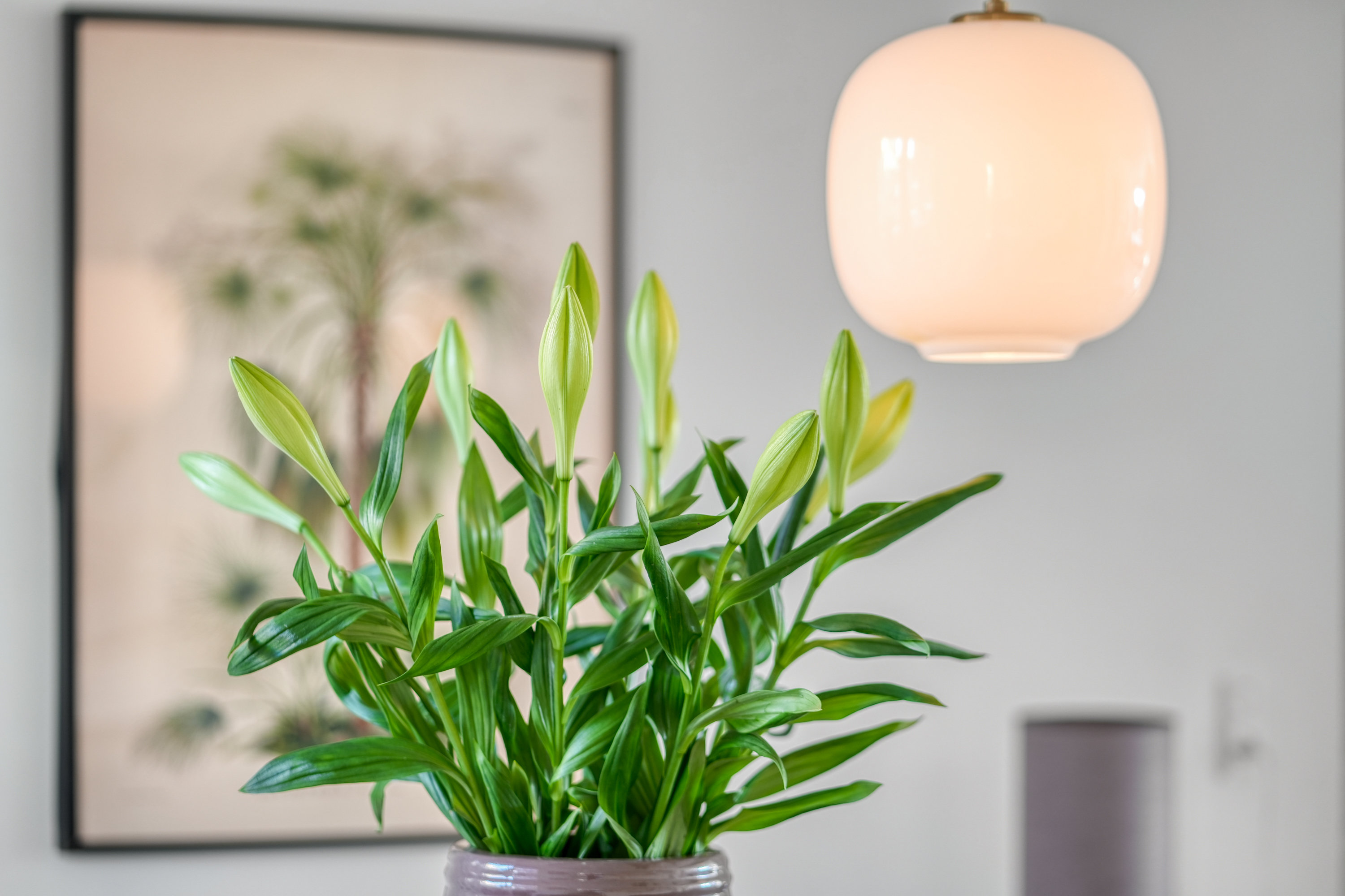 Fremhævet  billede i fuldskærmstilstand. Billede af Christian Winthers Vej 4A, st.. th., 1860 Frederiksberg C