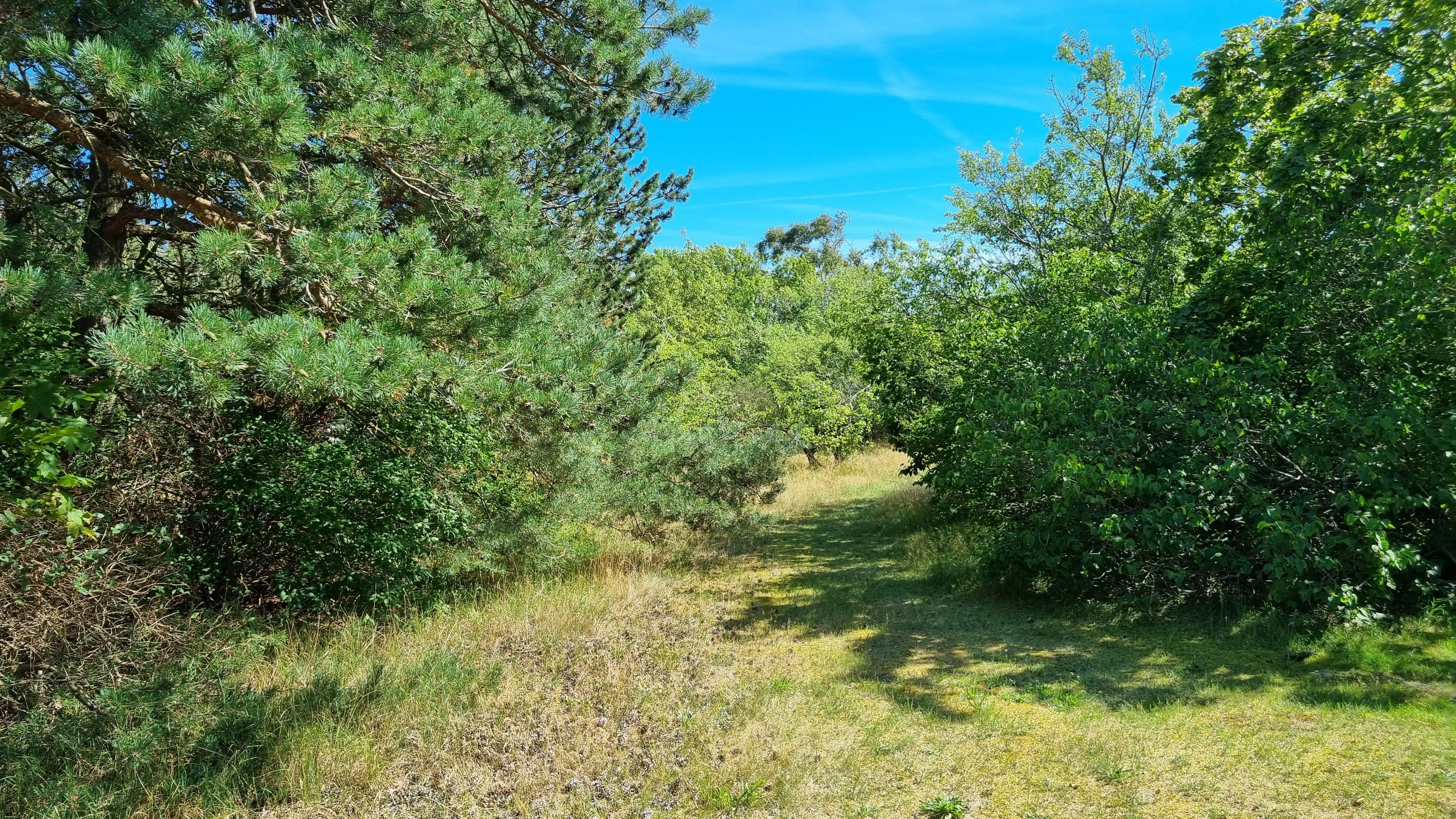 Fremhævet andet billede i fuldskærmstilstand. Billede af Peter Danielsvej 7, Østerby Havn, 9940 Læsø
