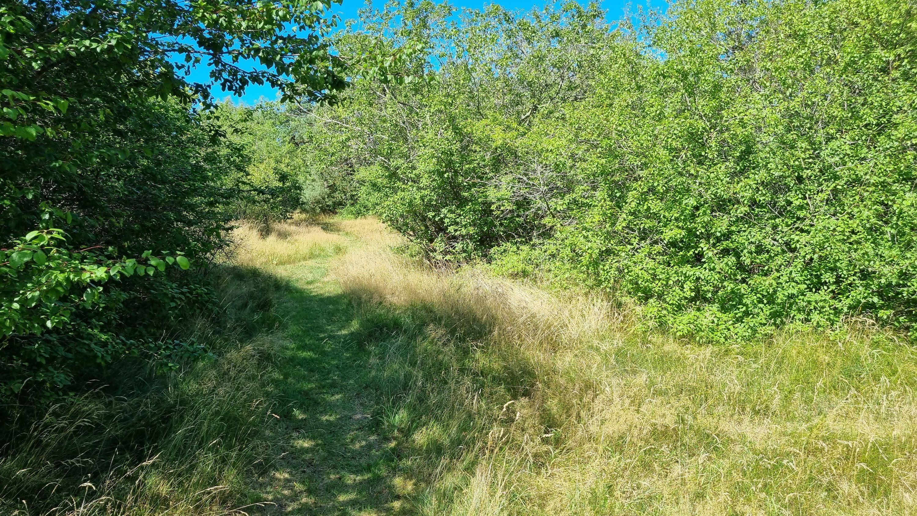 Fremhævet andet billede i fuldskærmstilstand. Billede af Peter Danielsvej 7, Østerby Havn, 9940 Læsø