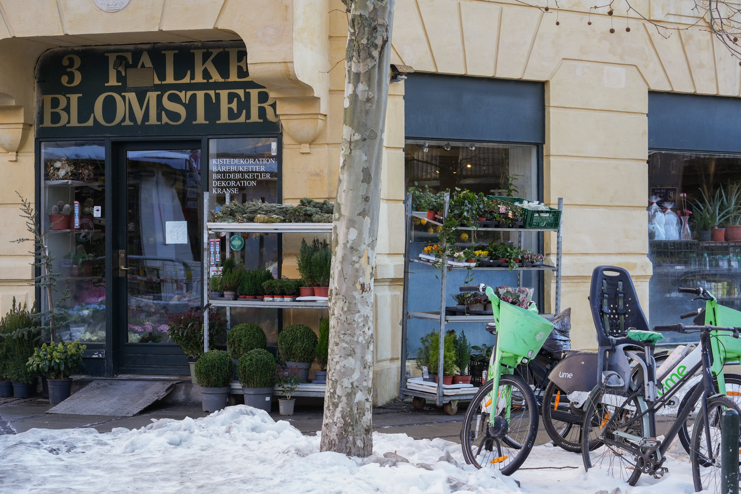 Fremhævet  billede i fuldskærmstilstand. Billede af Christian Winthers Vej 4A, st.. th., 1860 Frederiksberg C