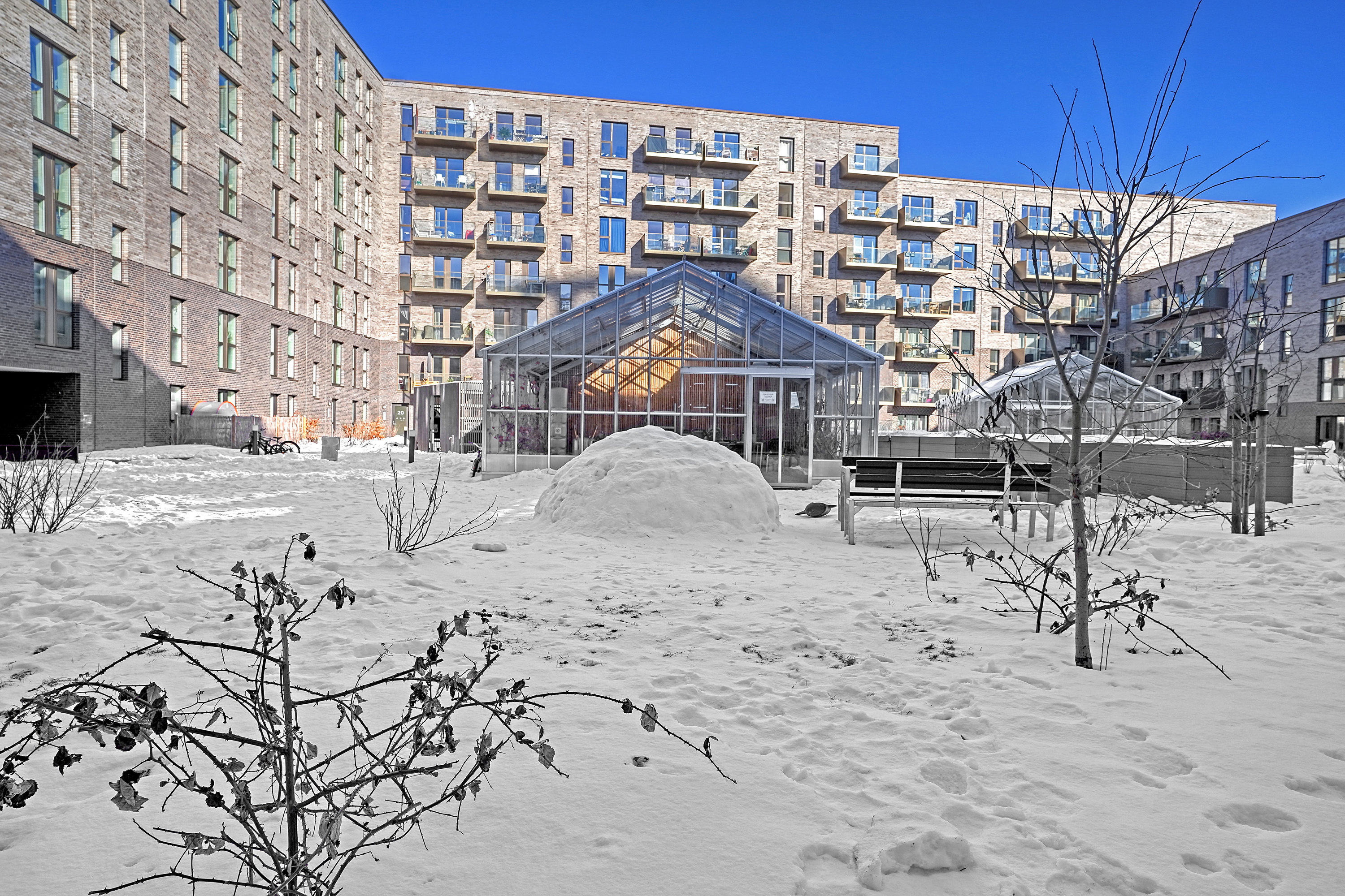 Fremhævet gårdmiljø billede i fuldskærmstilstand. Billede af Ingrid Marievej 20, 1. tv., 2500 Valby