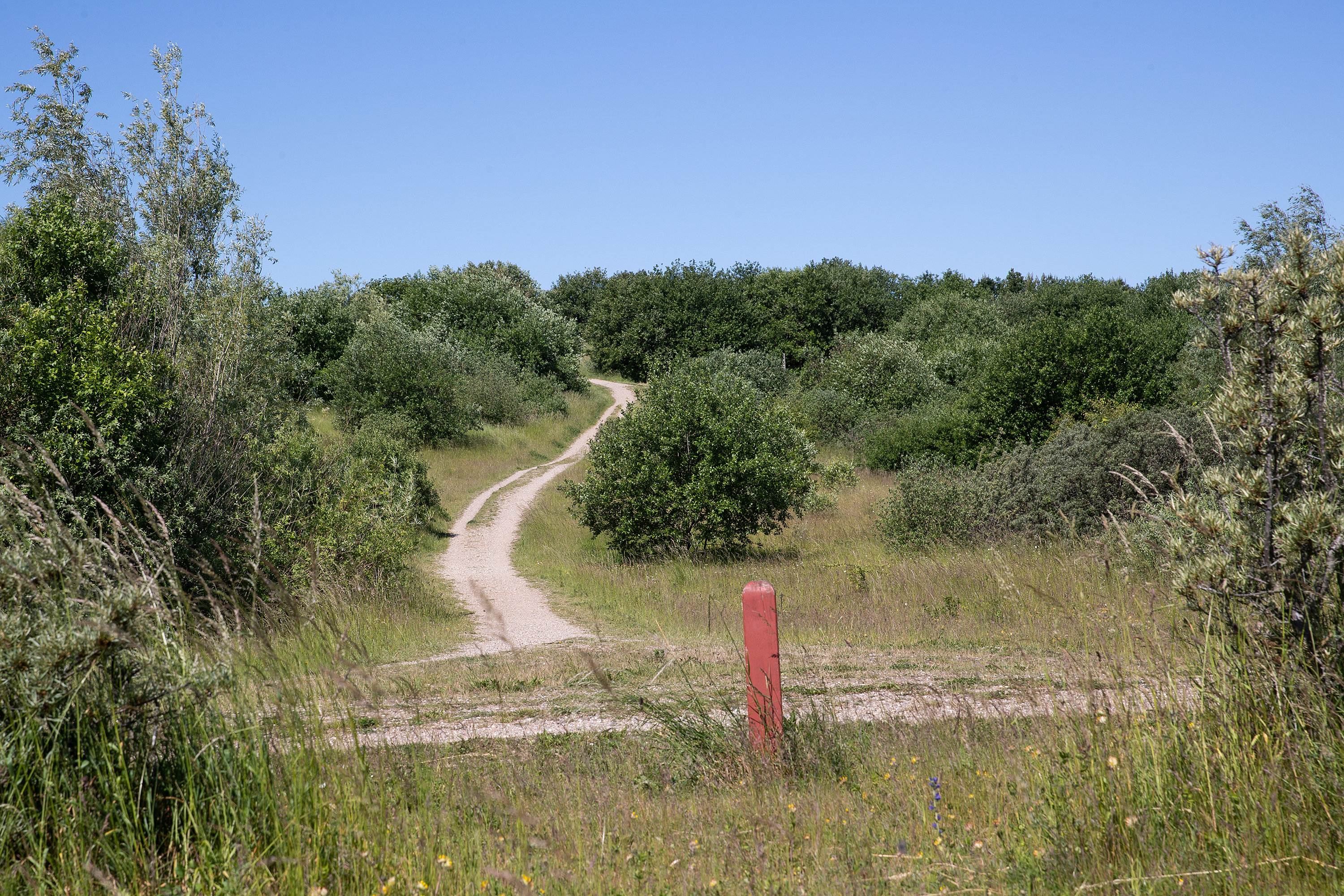 Fremhævet  billede i fuldskærmstilstand. Billede af Drosselvej 17, 4000 Roskilde