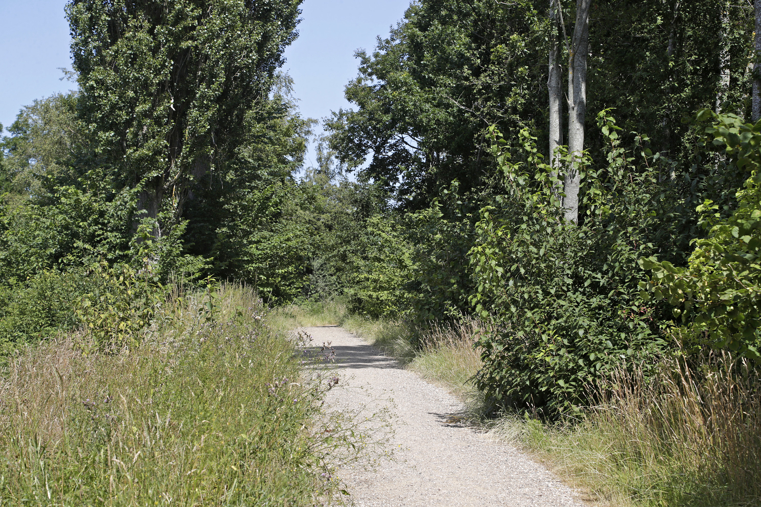 Fremhævet  billede i fuldskærmstilstand. Billede af Hovedgaden 15C, 4050 Skibby