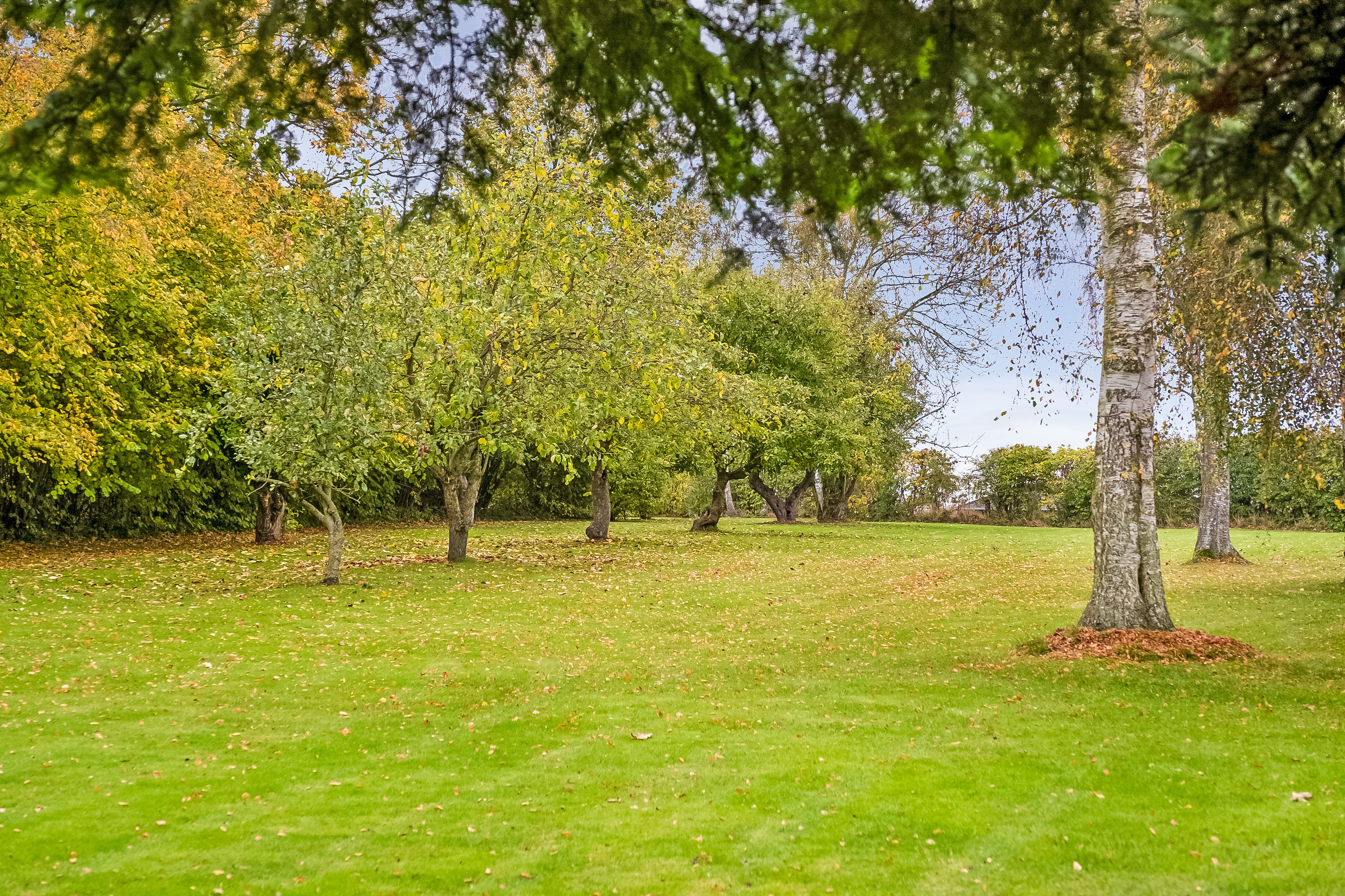 Fremhævet have billede i fuldskærmstilstand. Billede af Fasanvej 29, 5863 Ferritslev Fyn