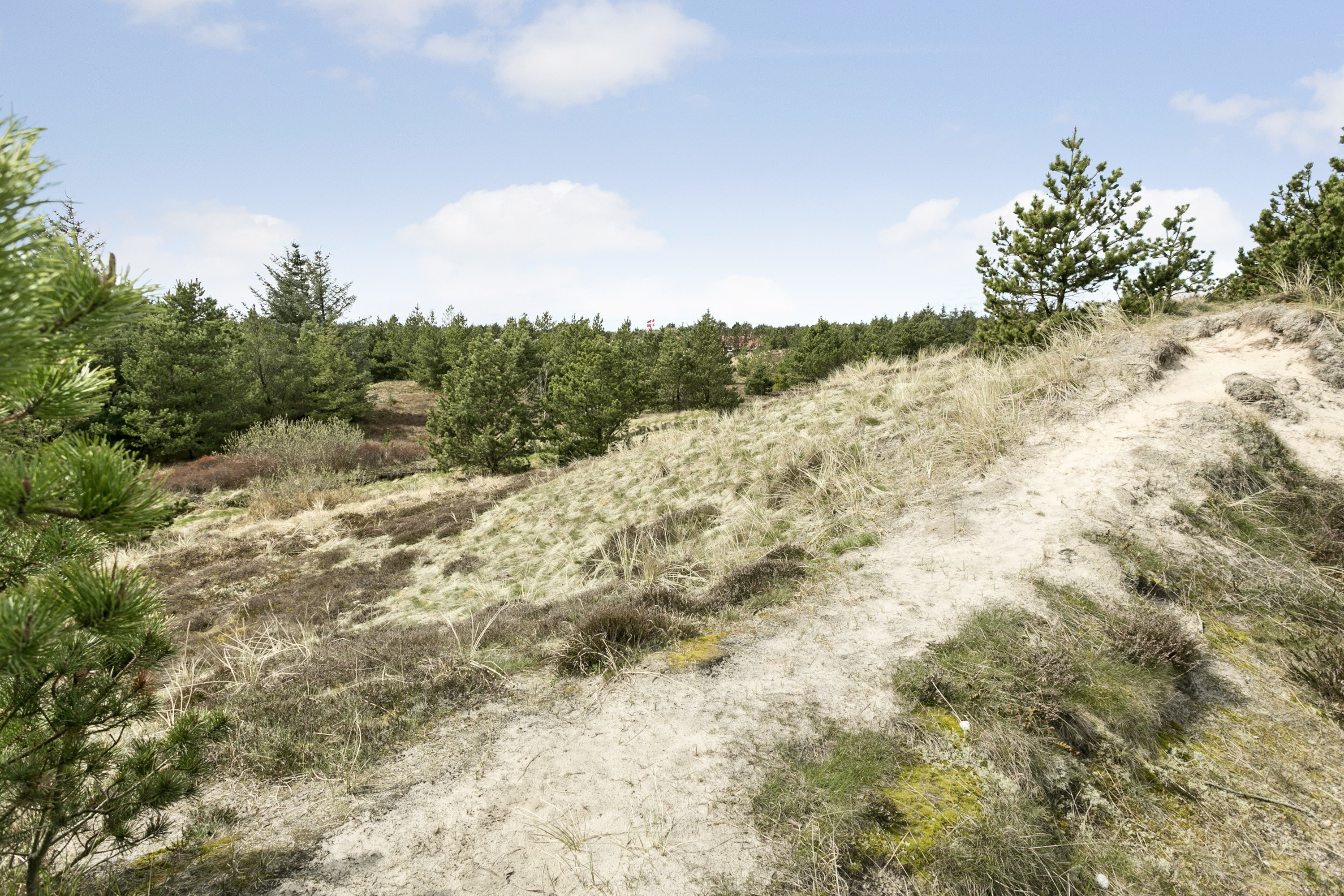 Fremhævet  billede i fuldskærmstilstand. Billede af Brandisvej 19, Klitmøller, 7700 Thisted