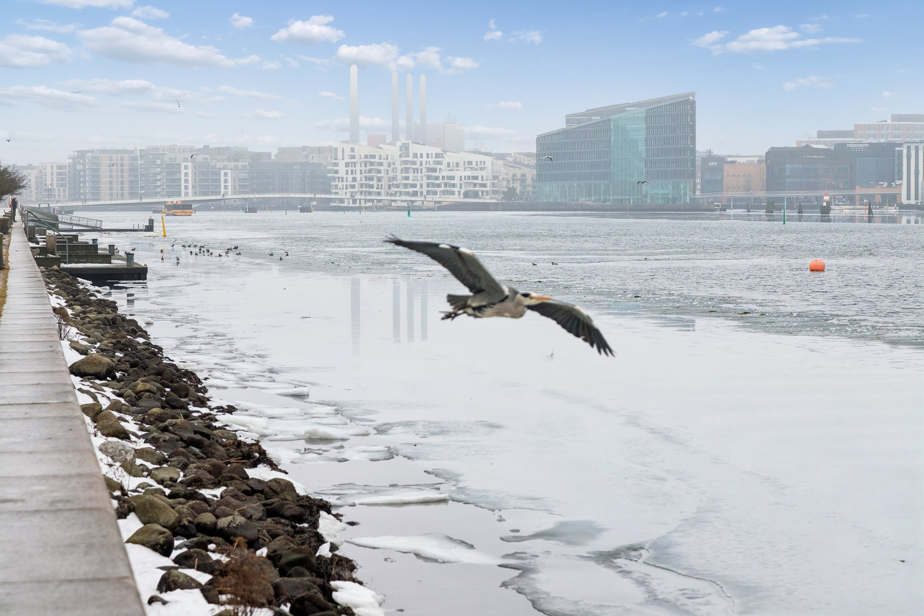Fremhævet område billede i fuldskærmstilstand. Billede af Reykjaviksgade 3, st.. th., 2300 København S