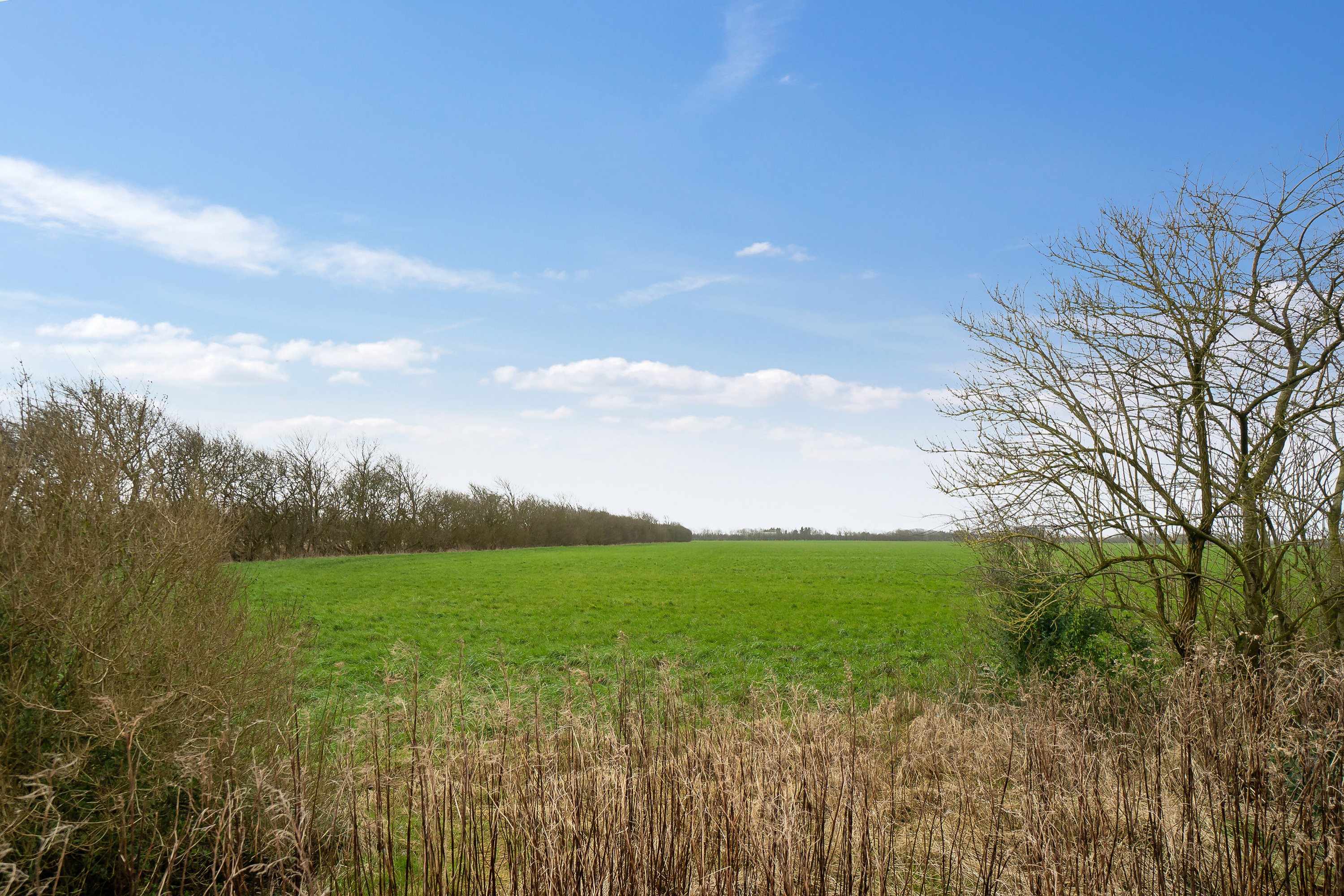 Miniaturebillede 2: omgivelser. Billede af Lindbjergvej 44, 6870 Ølgod