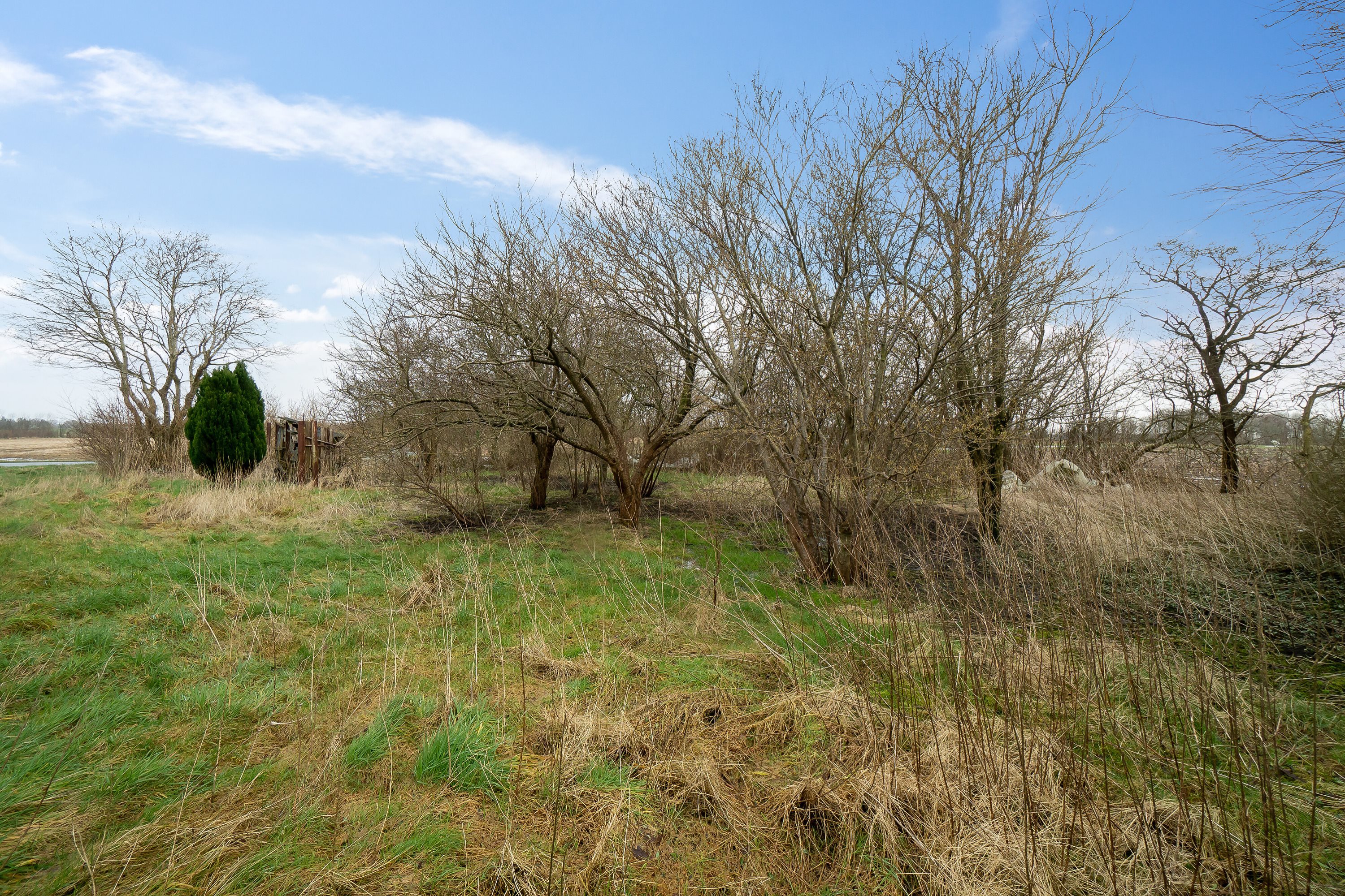 Fremhævet omgivelser billede i fuldskærmstilstand. Billede af Lindbjergvej 44, 6870 Ølgod