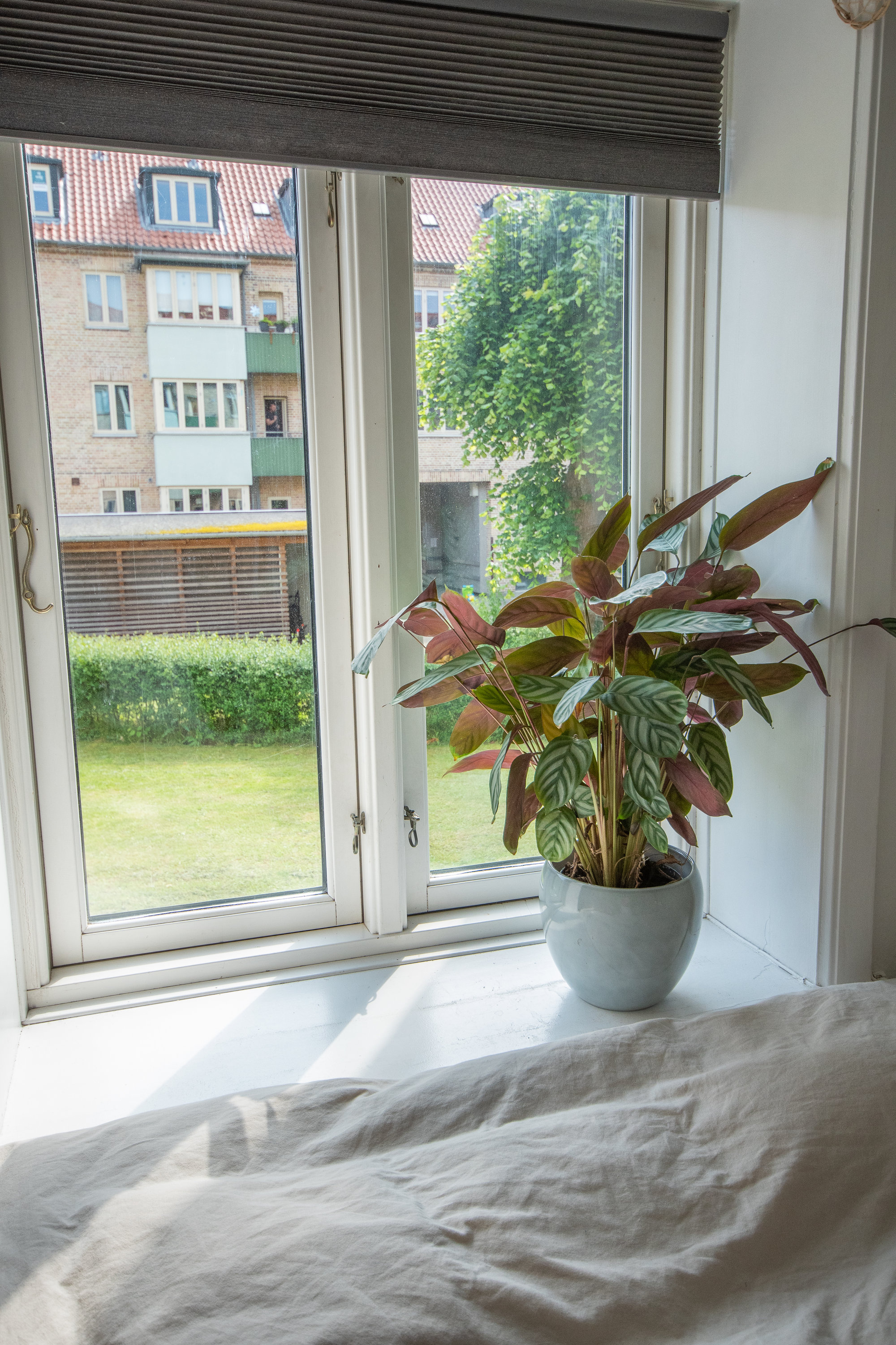 Fremhævet  billede i fuldskærmstilstand. Billede af Sjælør Boulevard 22, st.. mf., 2450 København SV