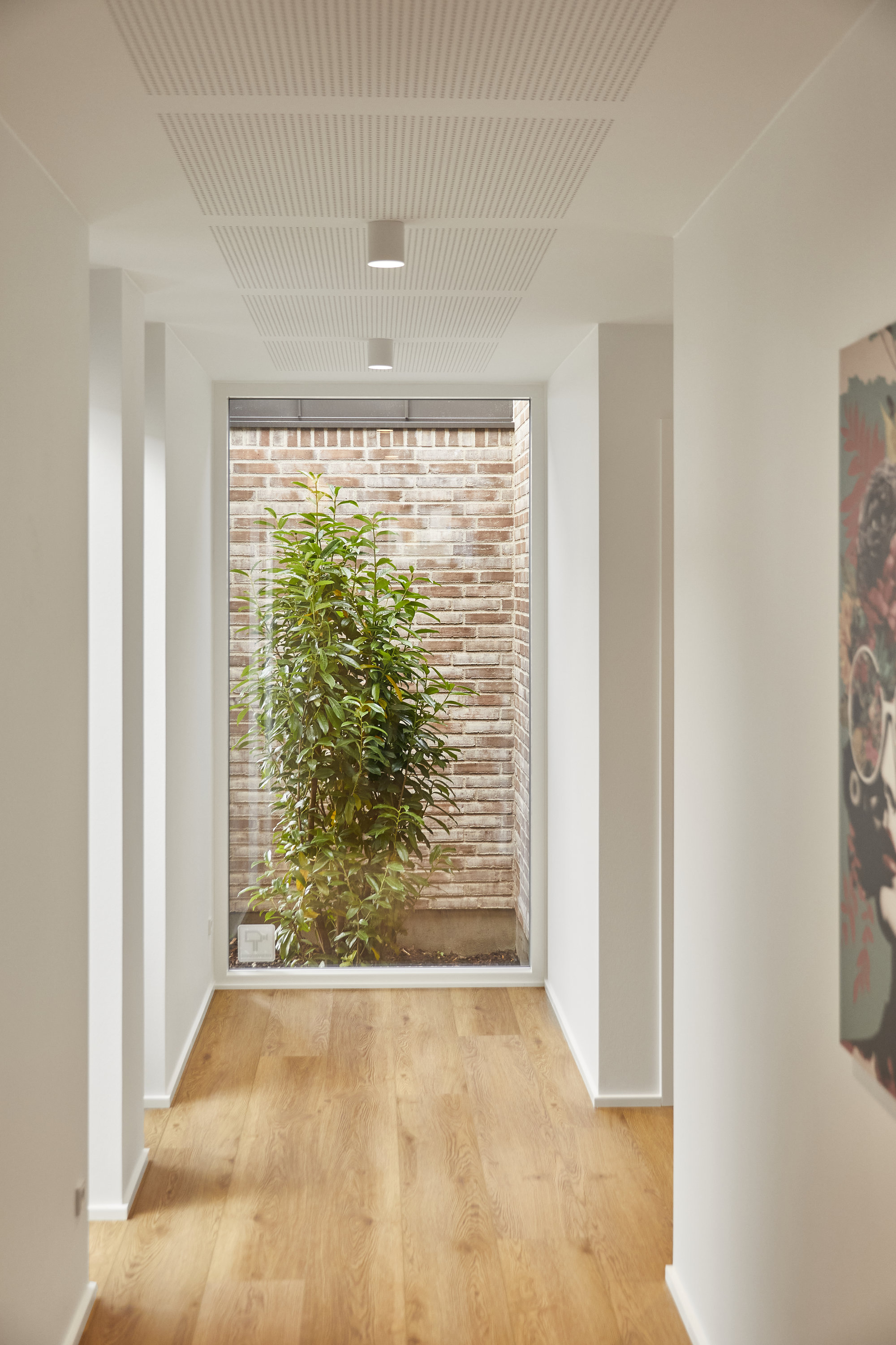 Fremhævet  billede i fuldskærmstilstand. Billede af Emiliedalen 73, 7120 Vejle Øst