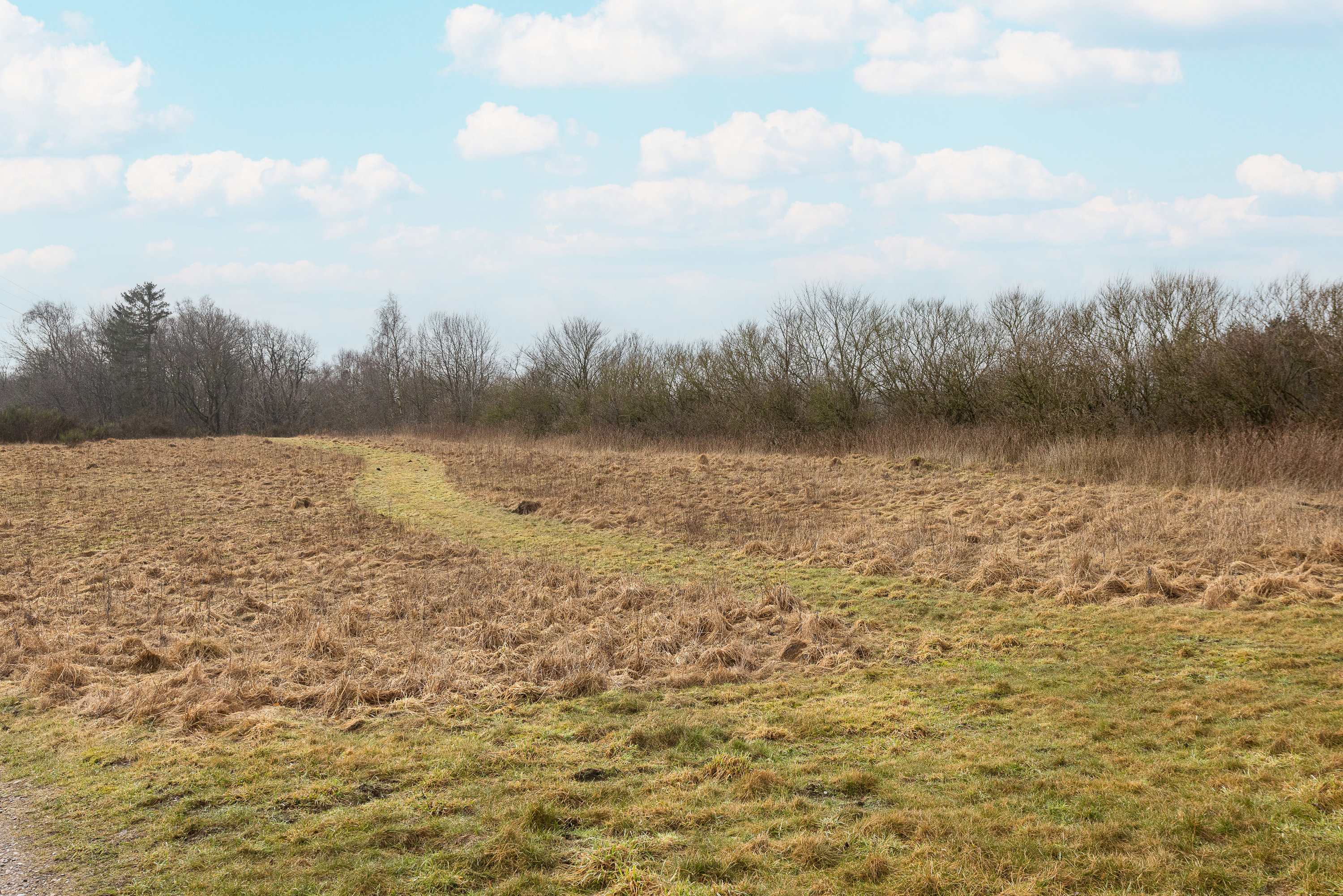 Fremhævet område billede i fuldskærmstilstand. Billede af Hørupvej 22, Hørup, 9632 Møldrup