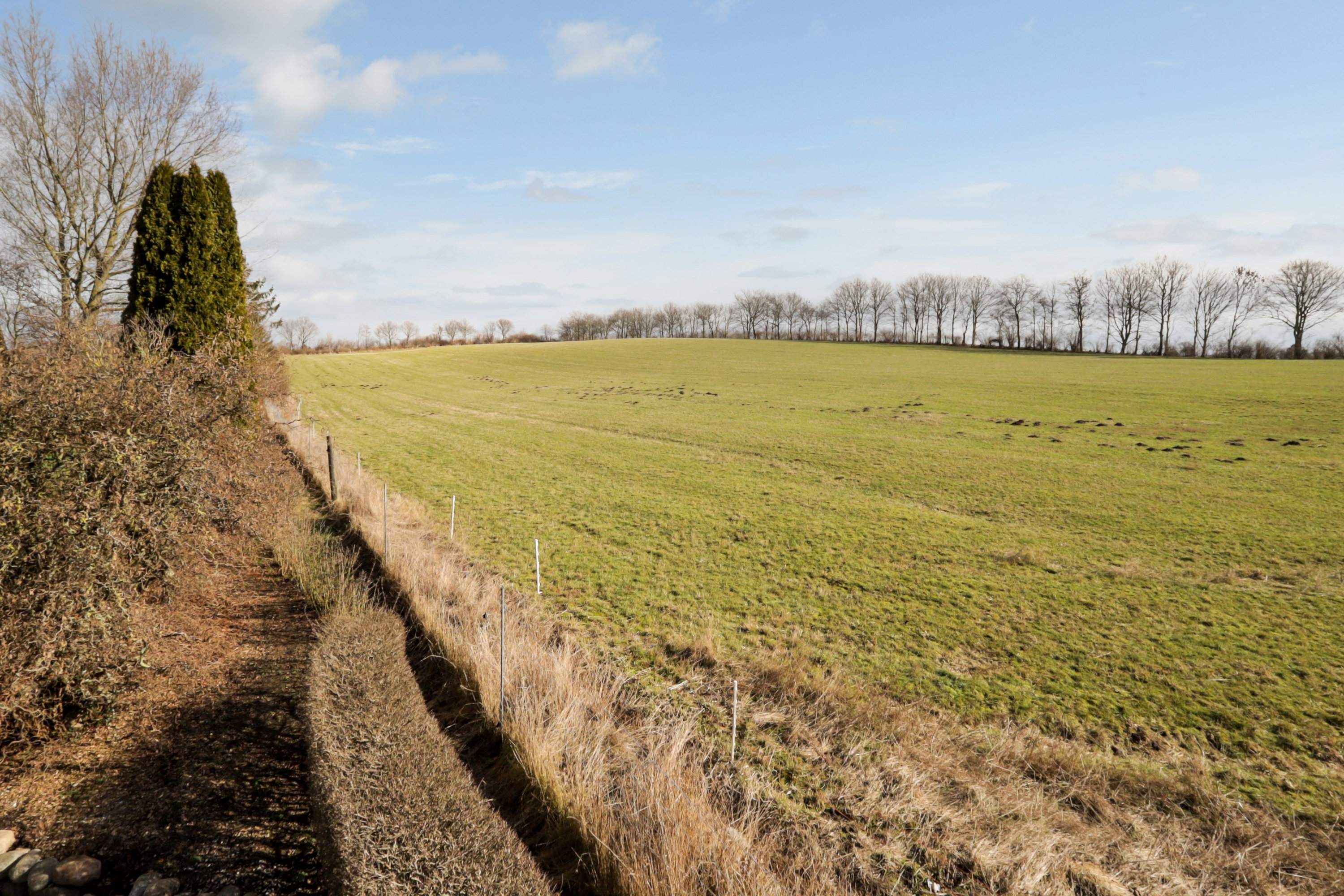 Fremhævet område billede i fuldskærmstilstand. Billede af Stubshovedvej 12, 5884 Gudme