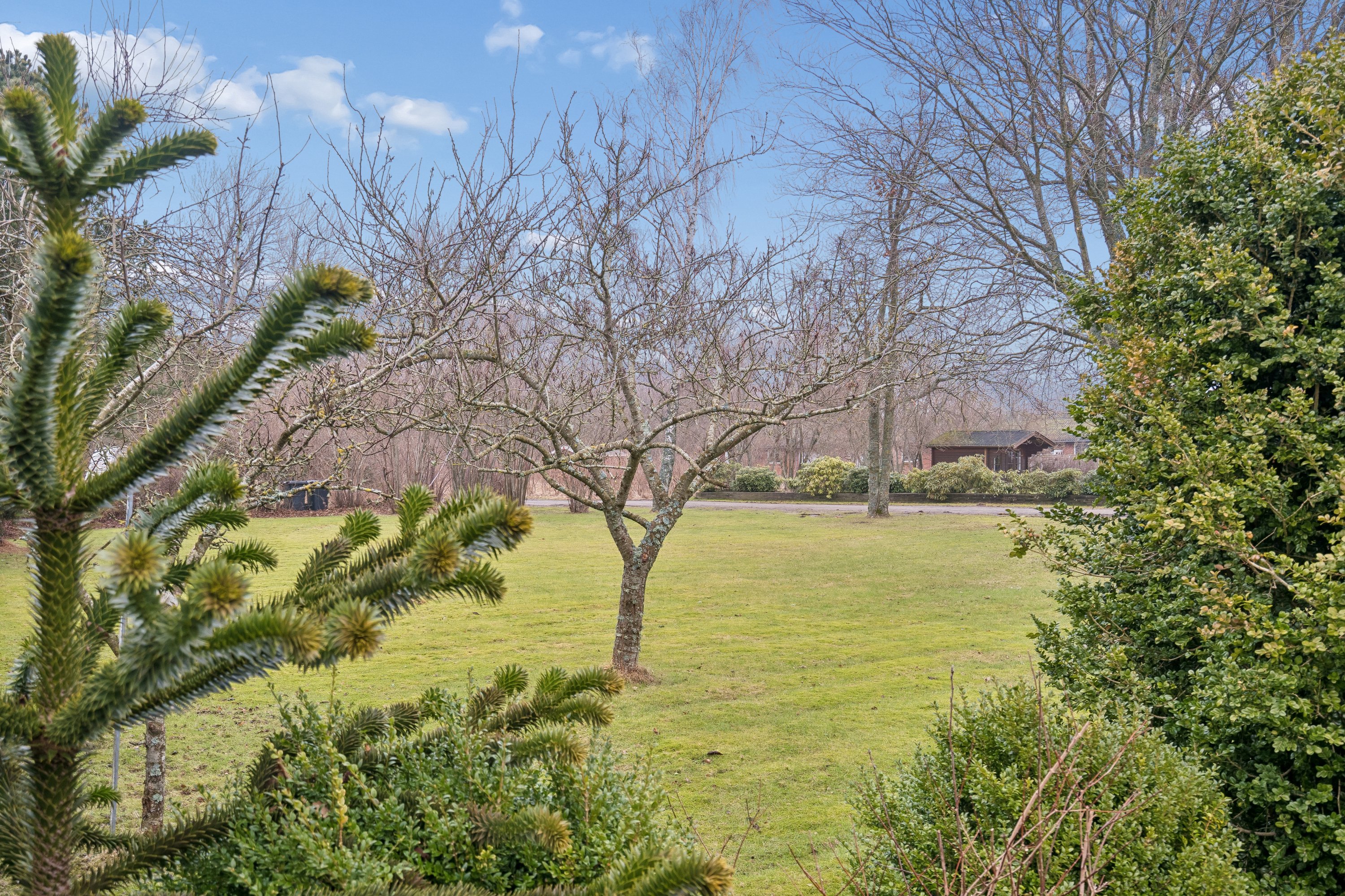 Fremhævet have billede i fuldskærmstilstand. Billede af Kromarksvej 7, Byrum, 9940 Læsø