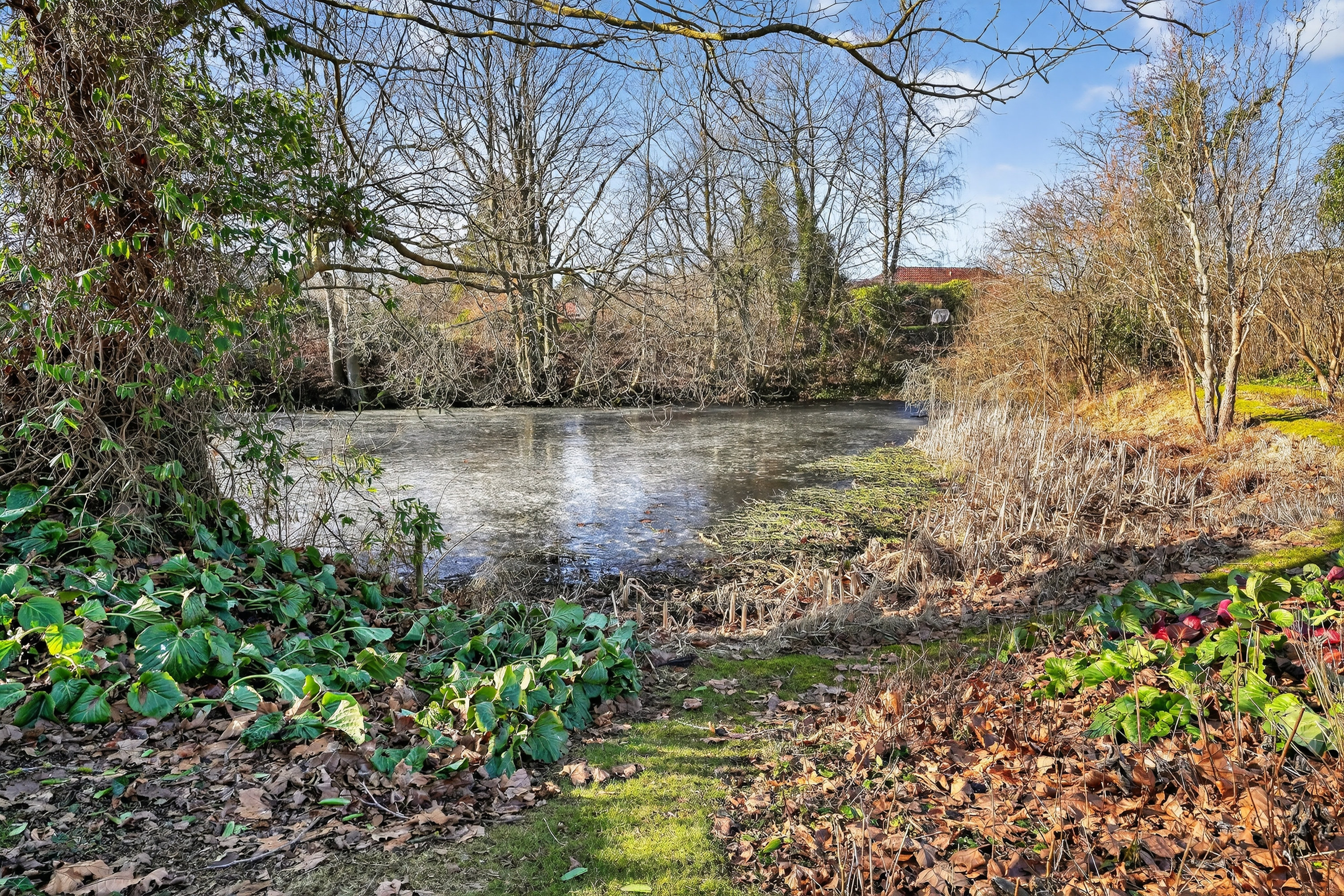 Miniaturebillede 1: have. Billede af Smedievej 75, 3400 Hillerød