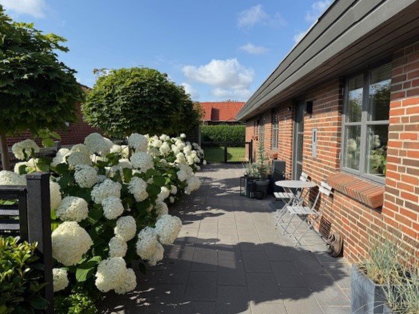 Fremhævet sommer billede i fuldskærmstilstand. Billede af Lilleskoven 8, 8722 Hedensted