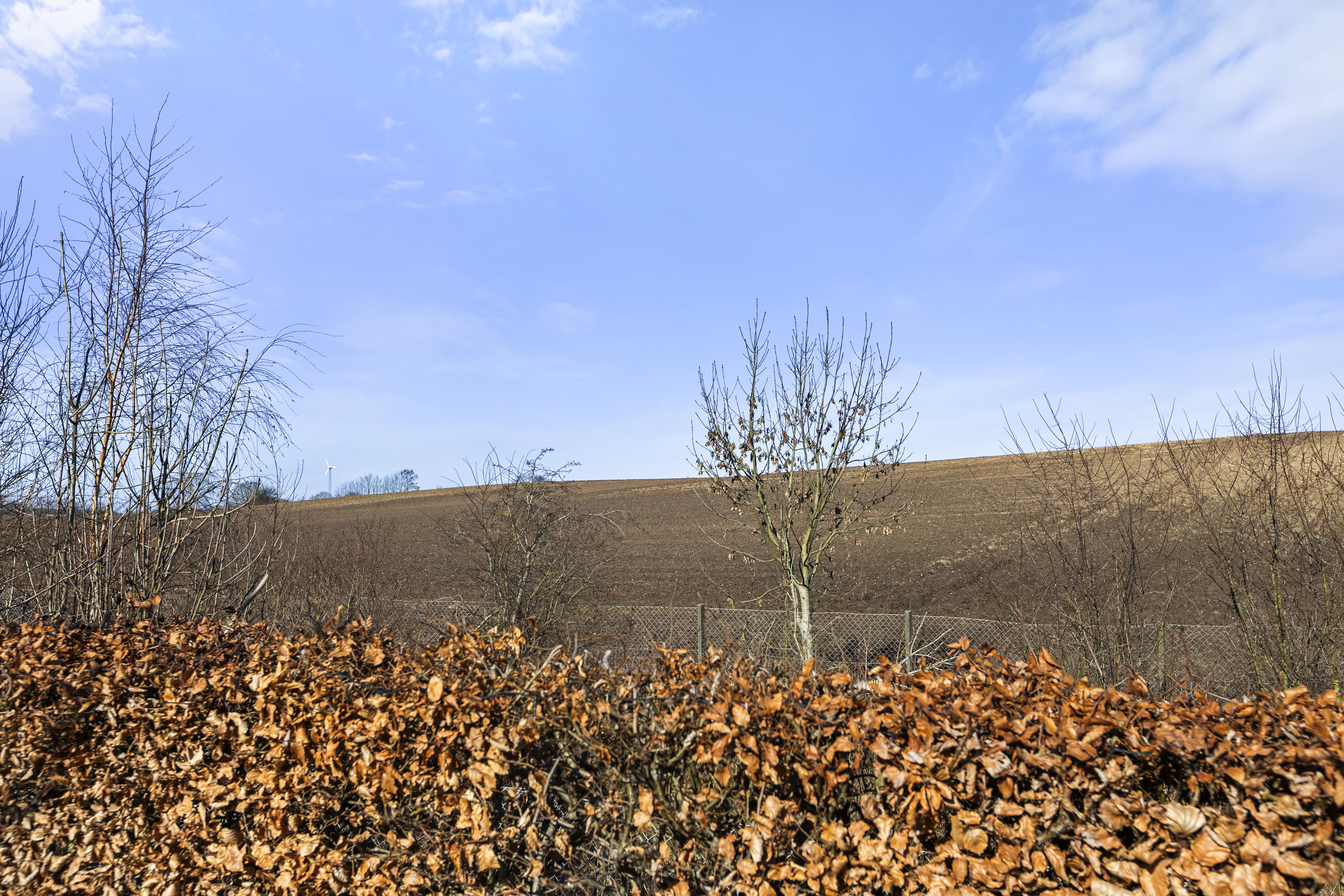 Fremhævet udsigt billede i fuldskærmstilstand. Billede af Toftebjerg 15, 4400 Kalundborg