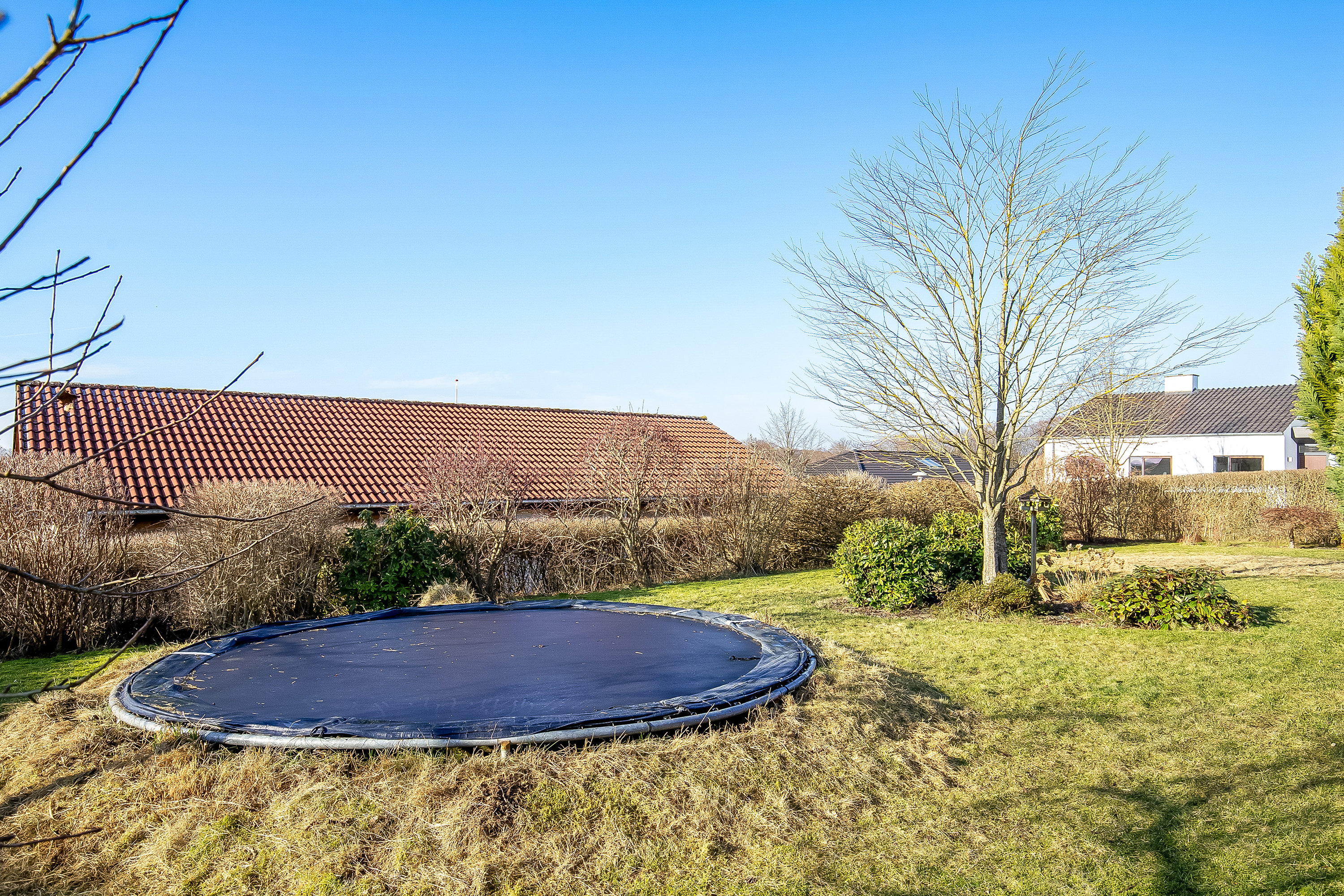 Fremhævet have billede i fuldskærmstilstand. Billede af Korntoften 60, 7100 Vejle