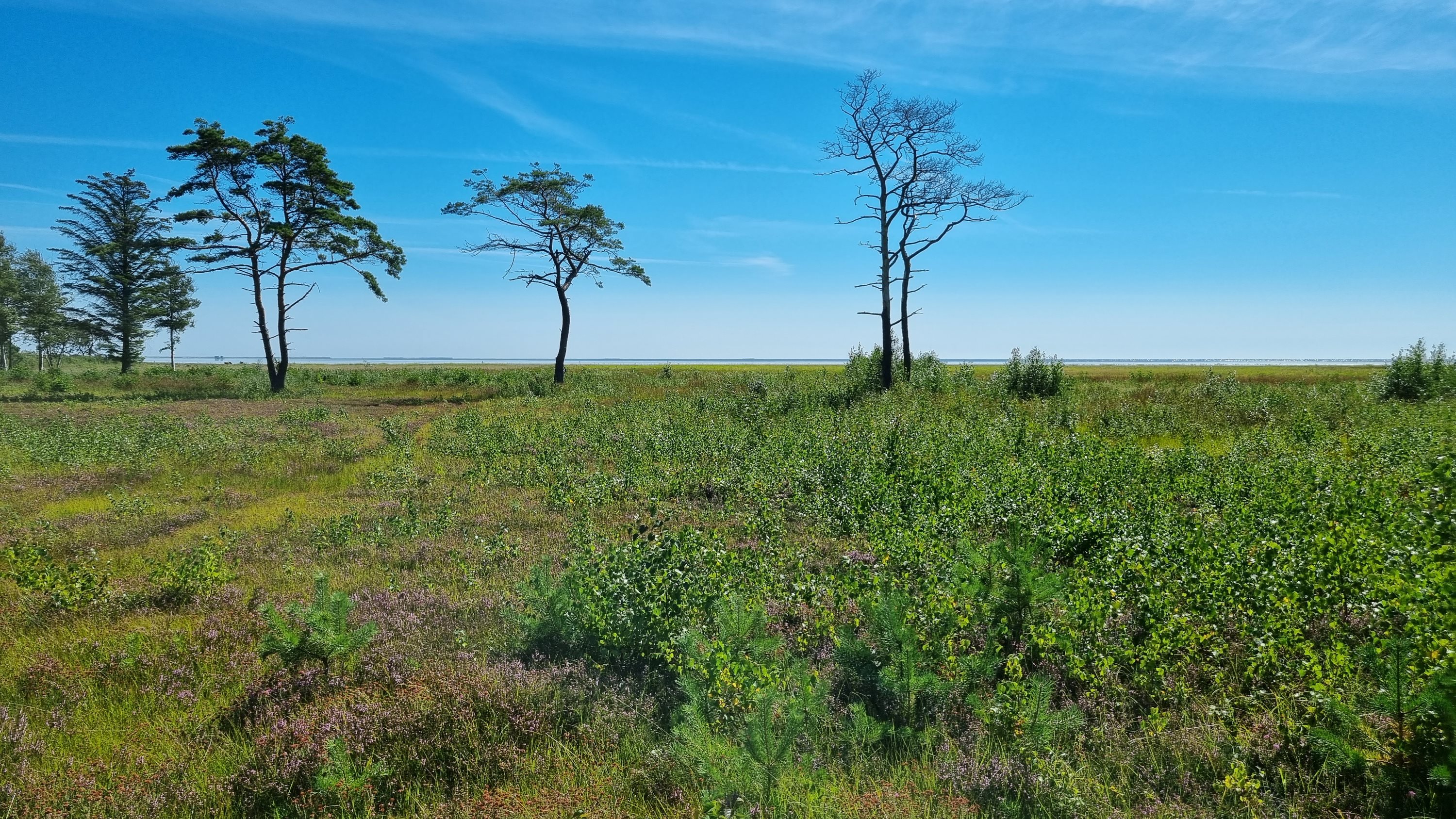 Miniaturebillede 1: andet. Billede af Sydhavnsvej 28, Østerby, 9940 Læsø