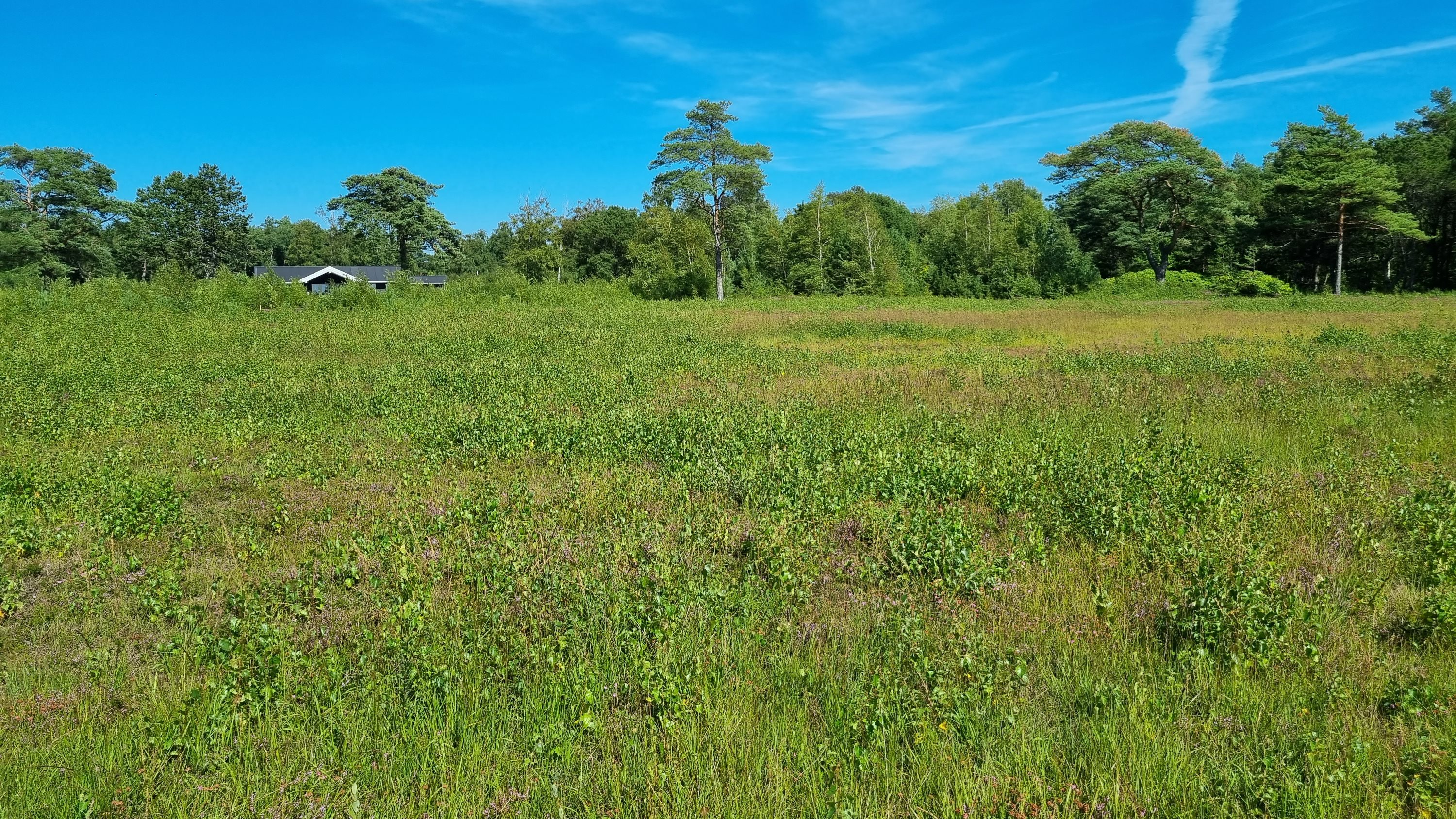 Miniaturebillede 2: andet. Billede af Sydhavnsvej 28, Østerby, 9940 Læsø