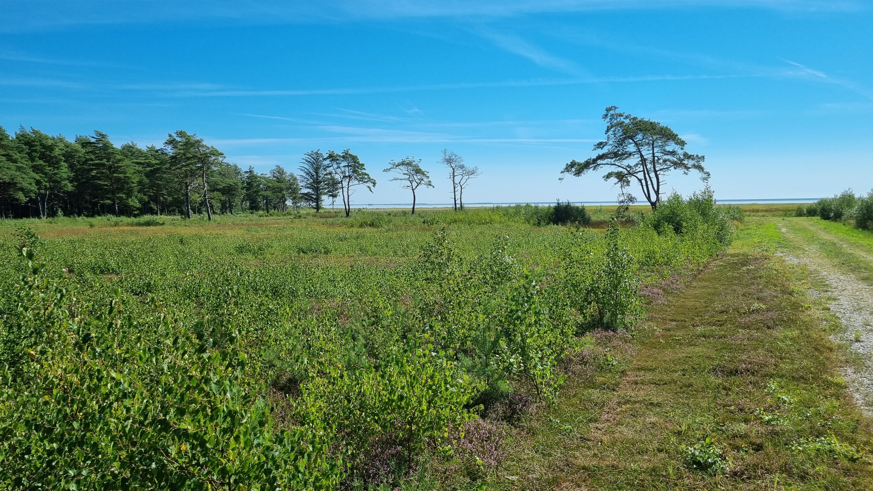 Fremhævet andet billede i fuldskærmstilstand. Billede af Sydhavnsvej 28, Østerby, 9940 Læsø
