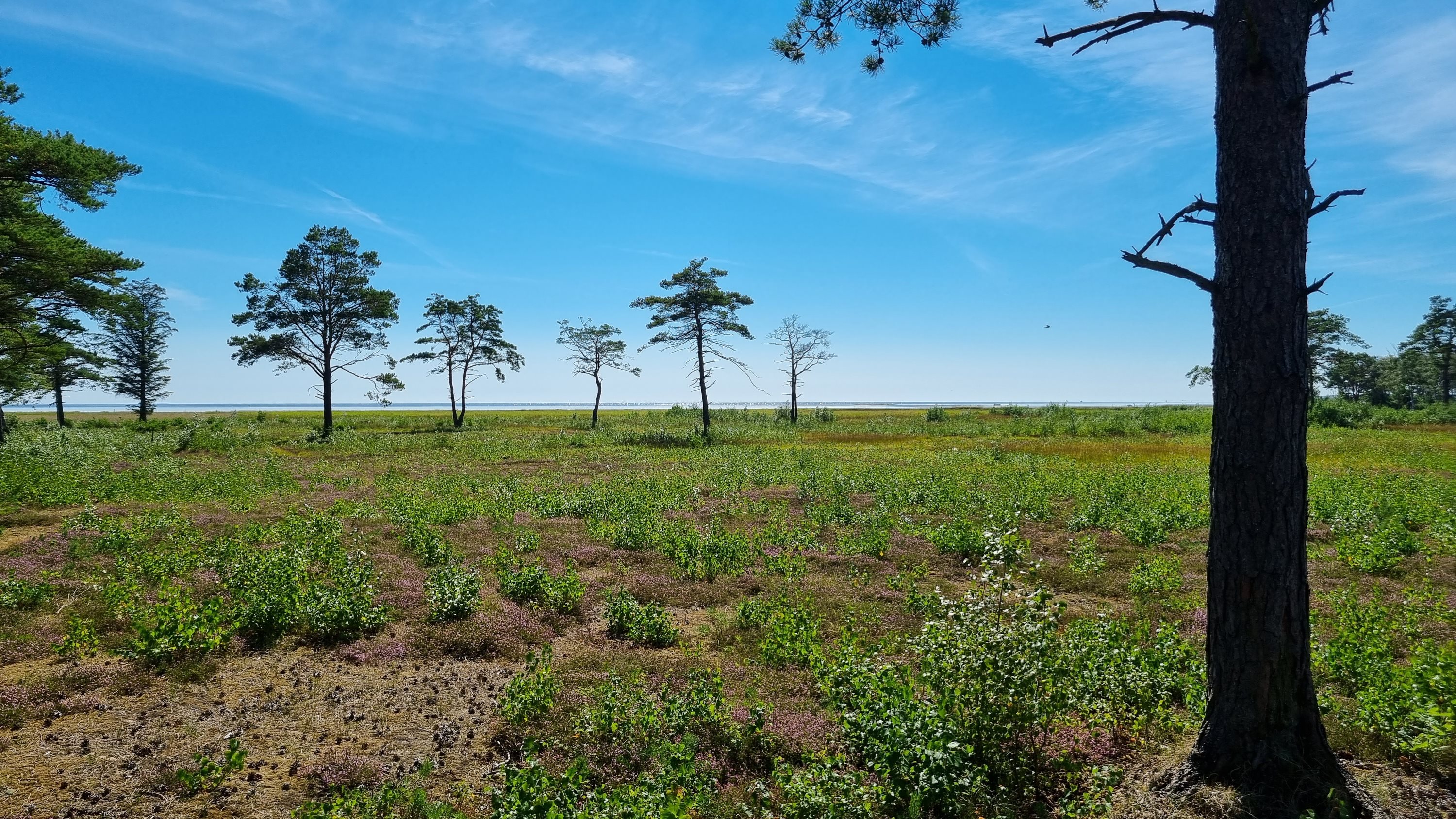 Fremhævet andet billede i fuldskærmstilstand. Billede af Sydhavnsvej 28, Østerby, 9940 Læsø