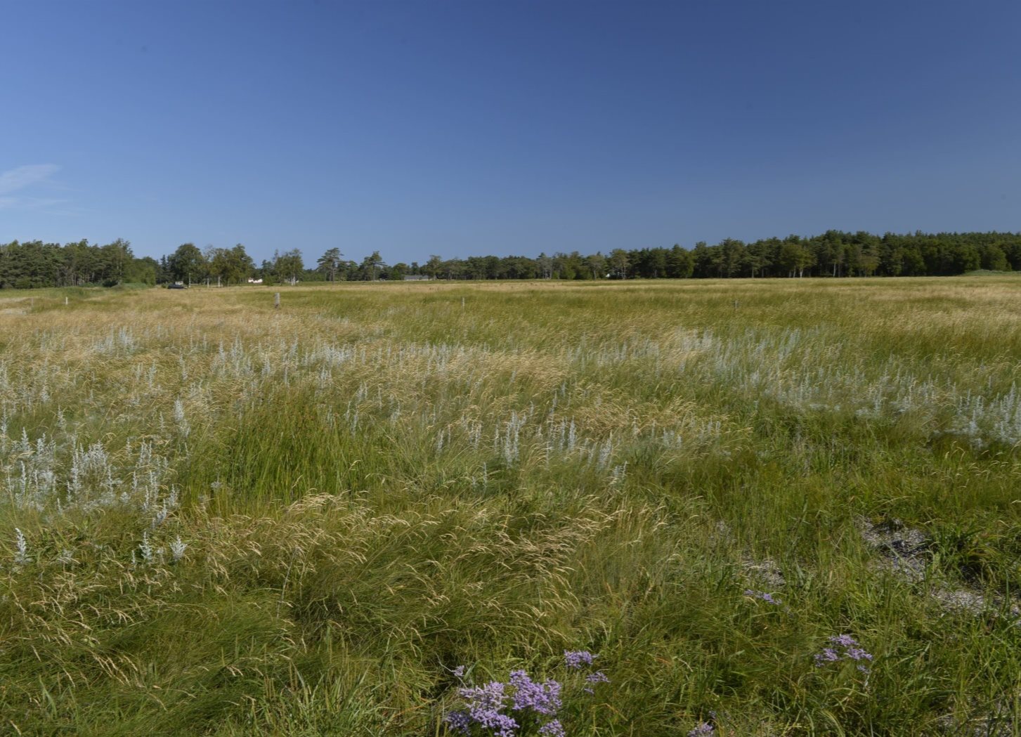 Fremhævet andet billede i fuldskærmstilstand. Billede af Sydhavnsvej 28, Østerby, 9940 Læsø