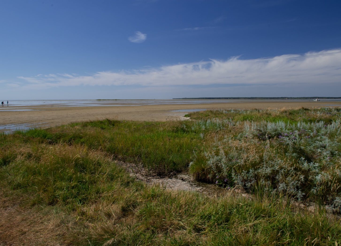 Fremhævet andet billede i fuldskærmstilstand. Billede af Sydhavnsvej 28, Østerby, 9940 Læsø