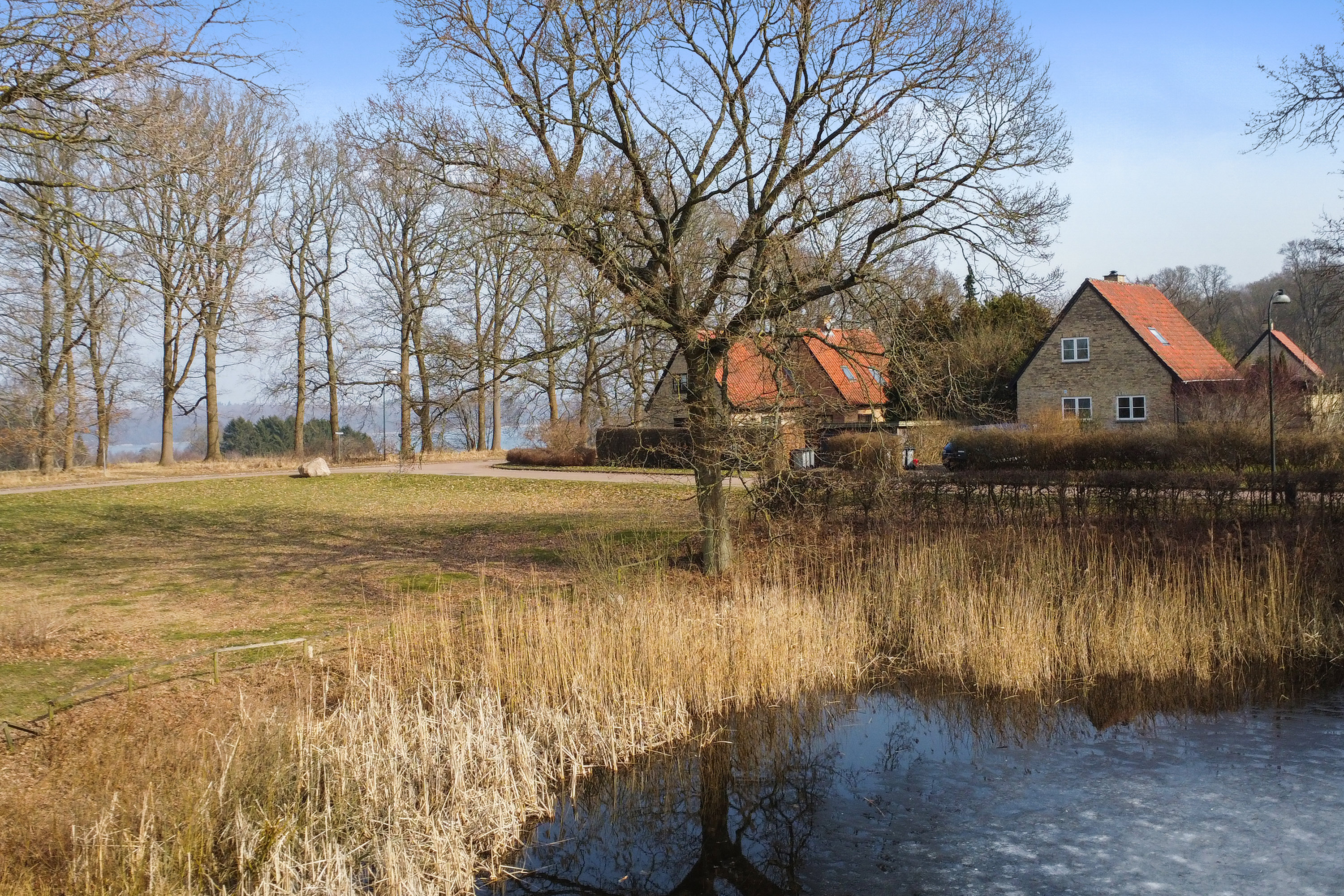 Miniaturebillede 1: have. Billede af Soldraget 34, 3460 Birkerød