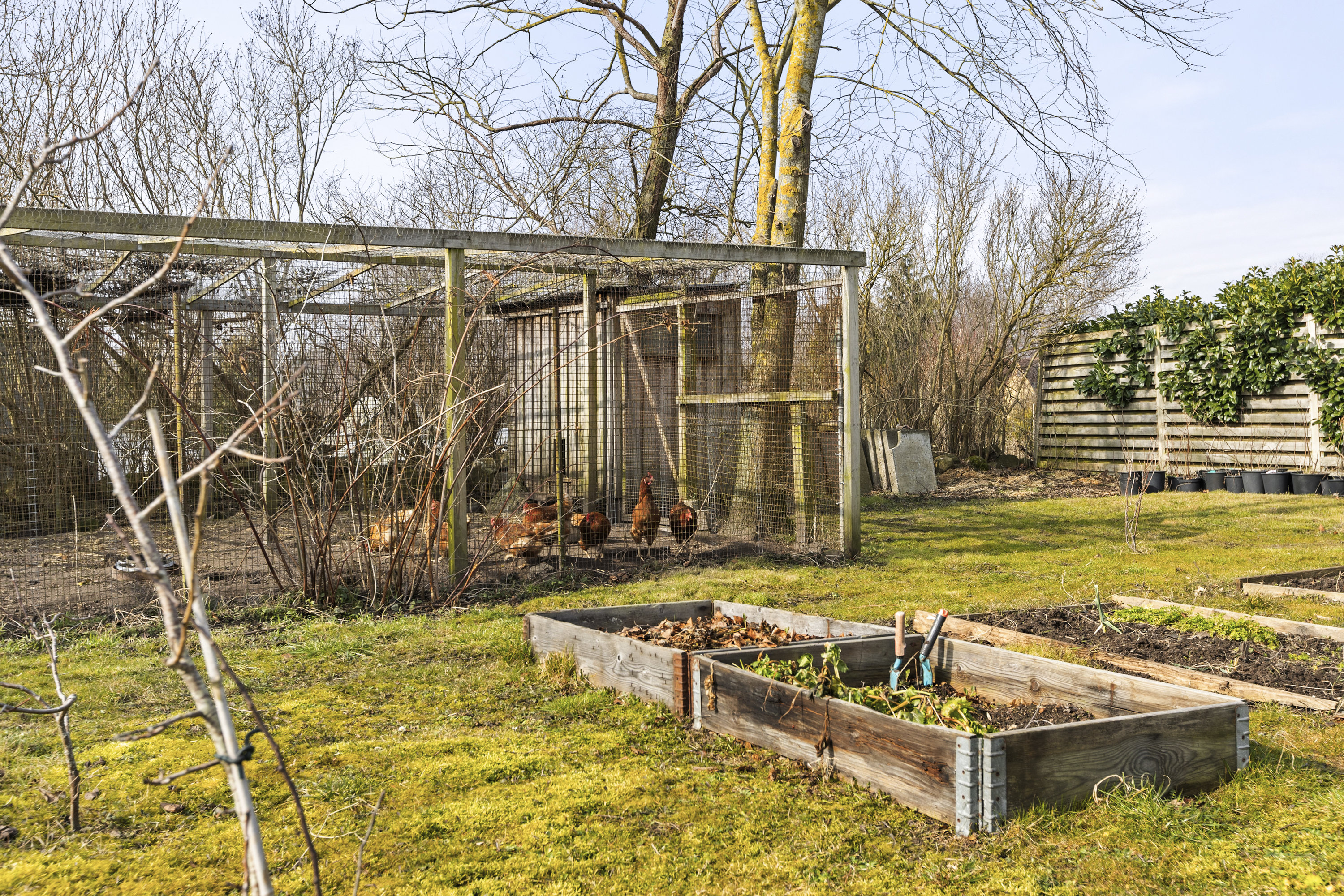 Fremhævet have billede i fuldskærmstilstand. Billede af Nordvejen 3, Vellerup, 4050 Skibby