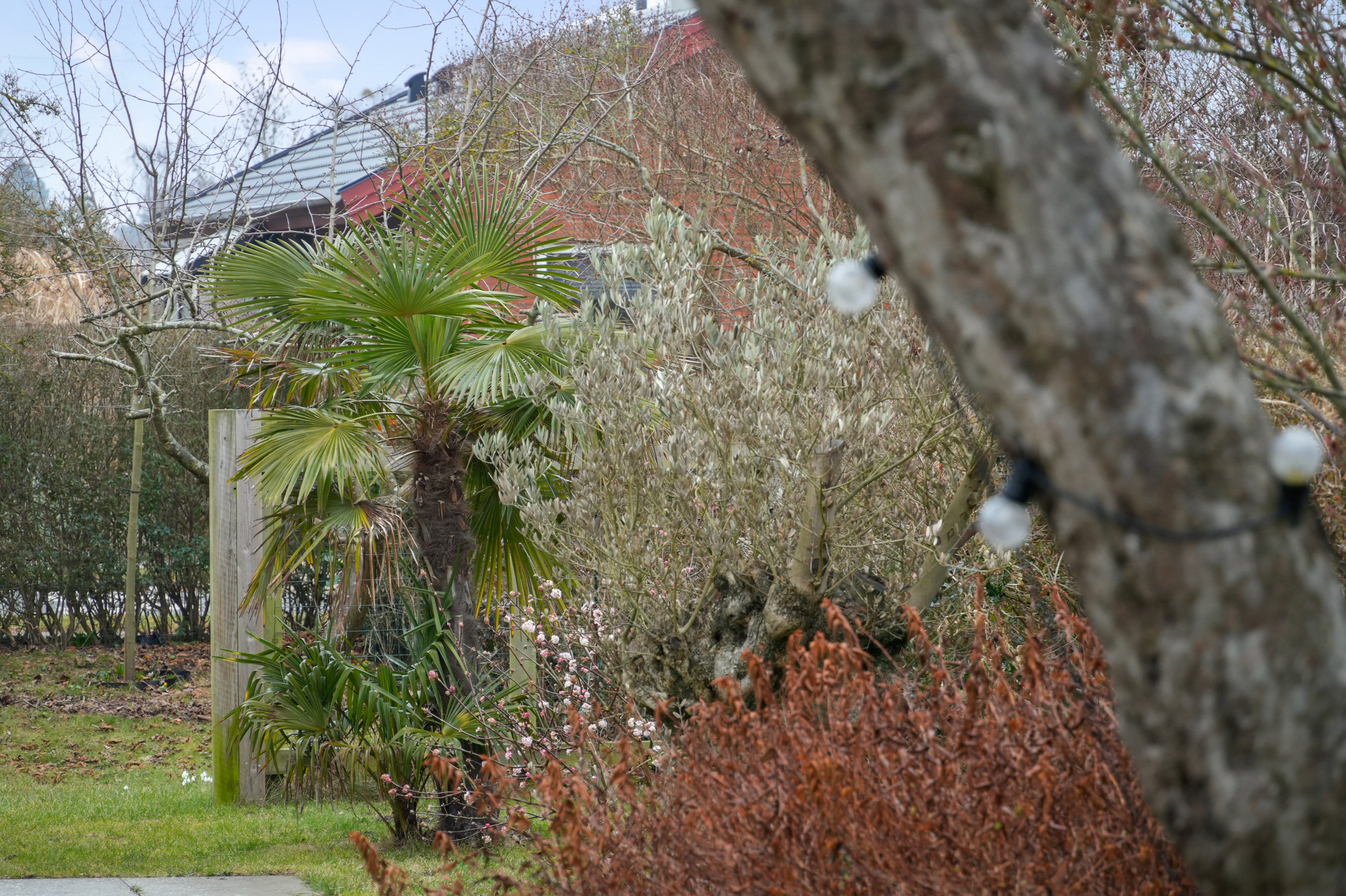 Fremhævet udsigt billede i fuldskærmstilstand. Billede af Grænsevej 24, 2650 Hvidovre