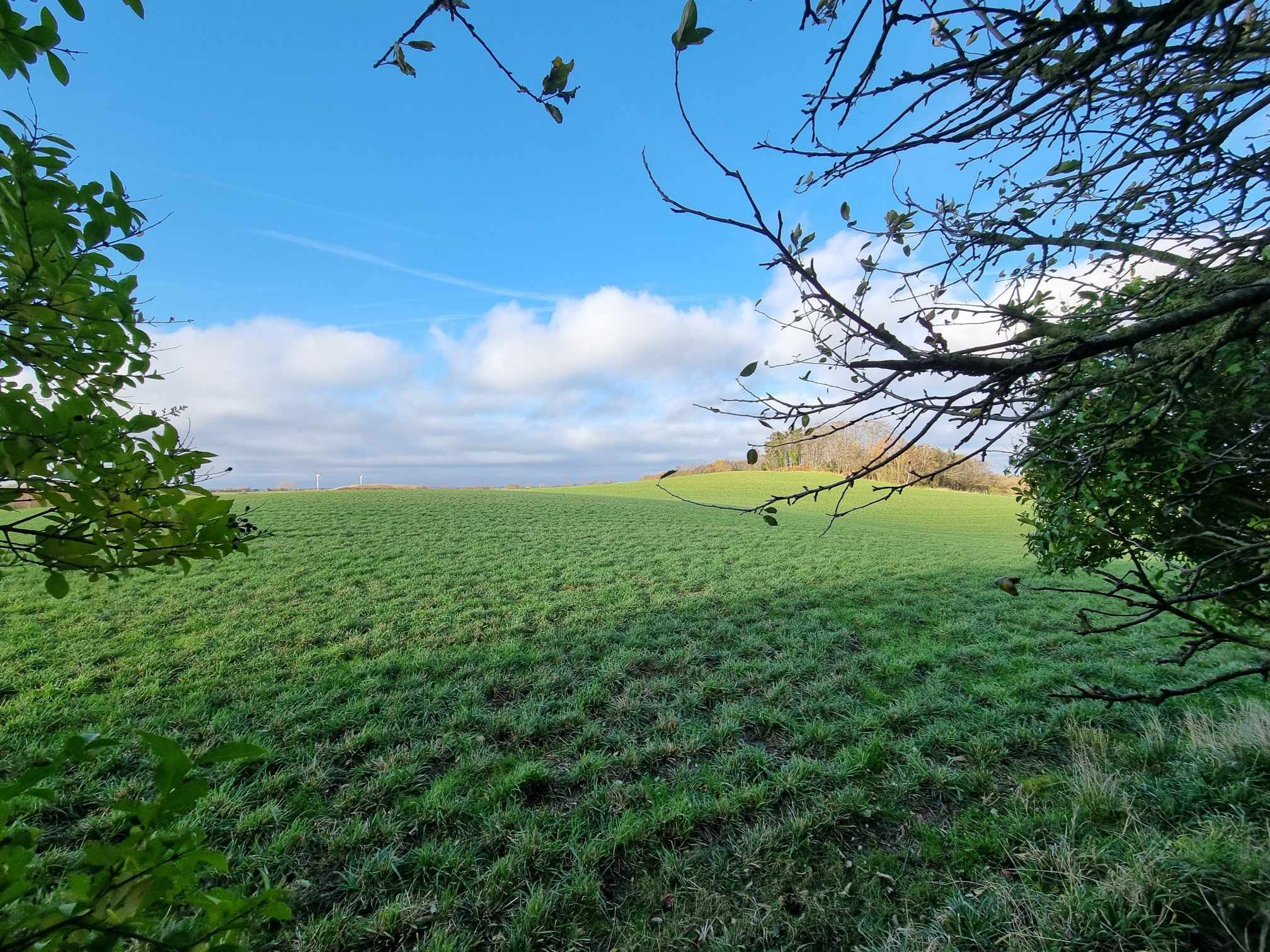 Fremhævet  billede i fuldskærmstilstand. Billede af Snødevej 31, 5953 Tranekær