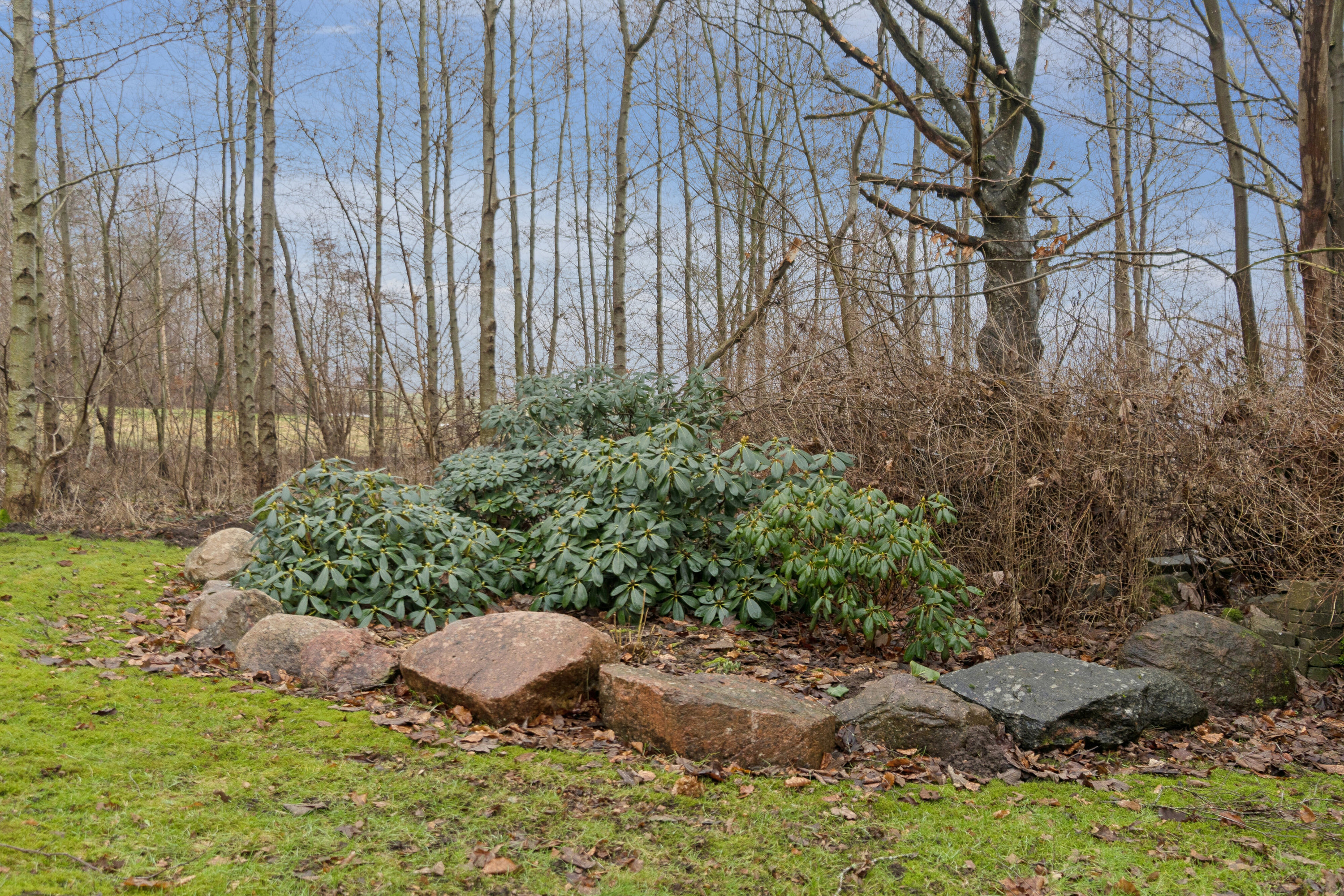 Fremhævet udendørs billede i fuldskærmstilstand. Billede af Egelandvej 36, Starup, 6040 Egtved