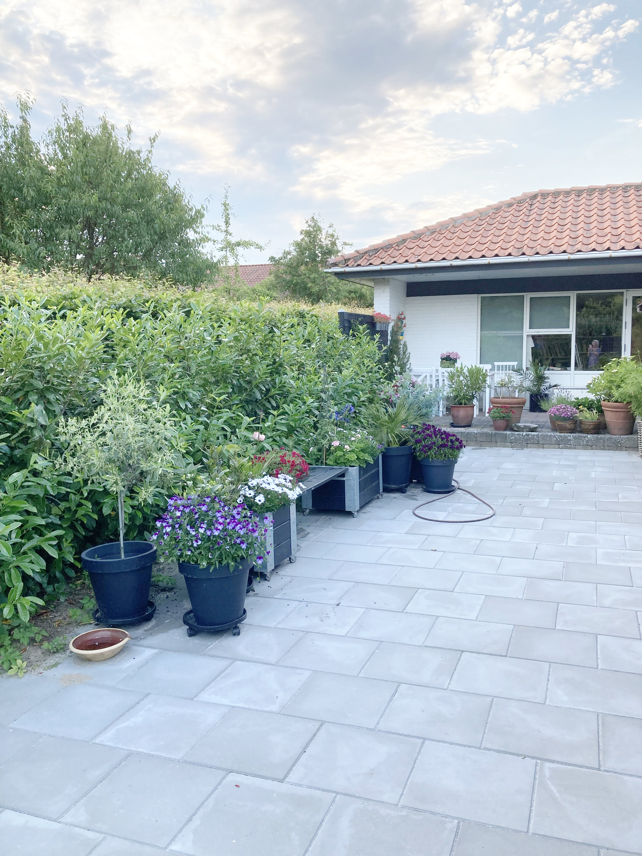 Fremhævet  billede i fuldskærmstilstand. Billede af P A Wedels Vej 5, 5881 Skårup Fyn