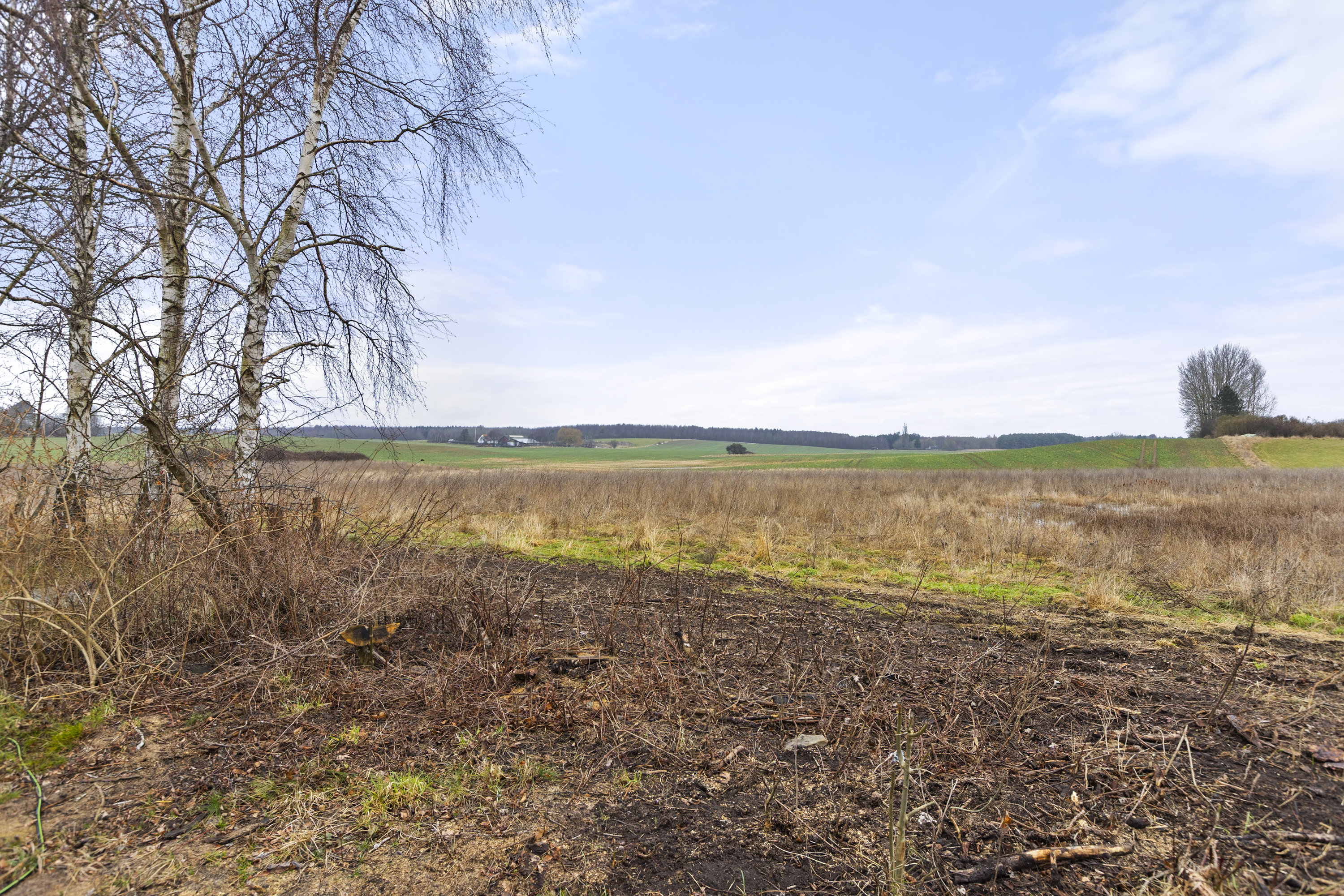 Fremhævet udsigt billede i fuldskærmstilstand. Billede af Tranemosevej 133, 4400 Kalundborg