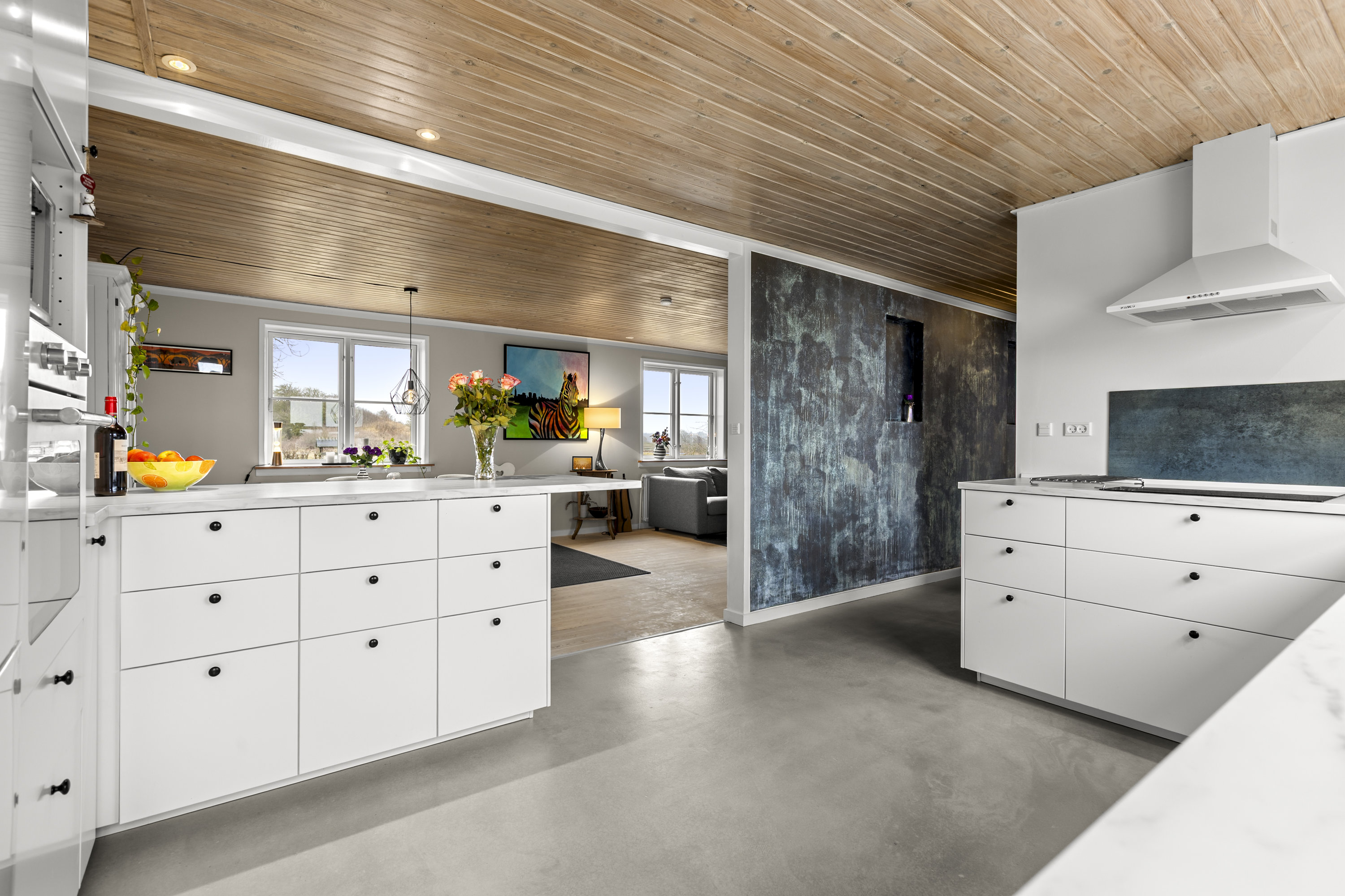 Fremhævet køkken billede i fuldskærmstilstand. Billede af Tranemosevej 133, 4400 Kalundborg