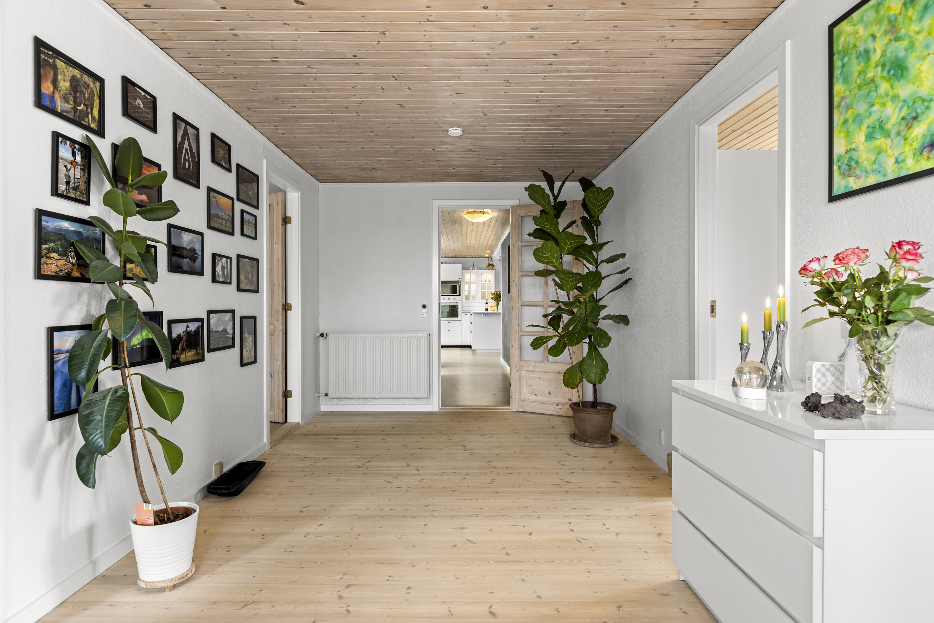 Fremhævet alrum billede i fuldskærmstilstand. Billede af Tranemosevej 133, 4400 Kalundborg