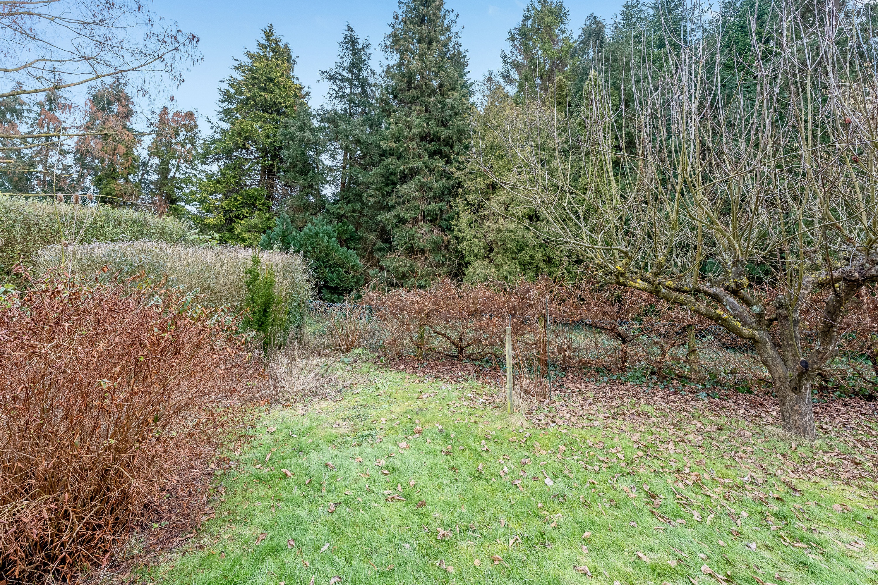 Fremhævet have billede i fuldskærmstilstand. Billede af Nørrevænget 12, 4800 Nykøbing F