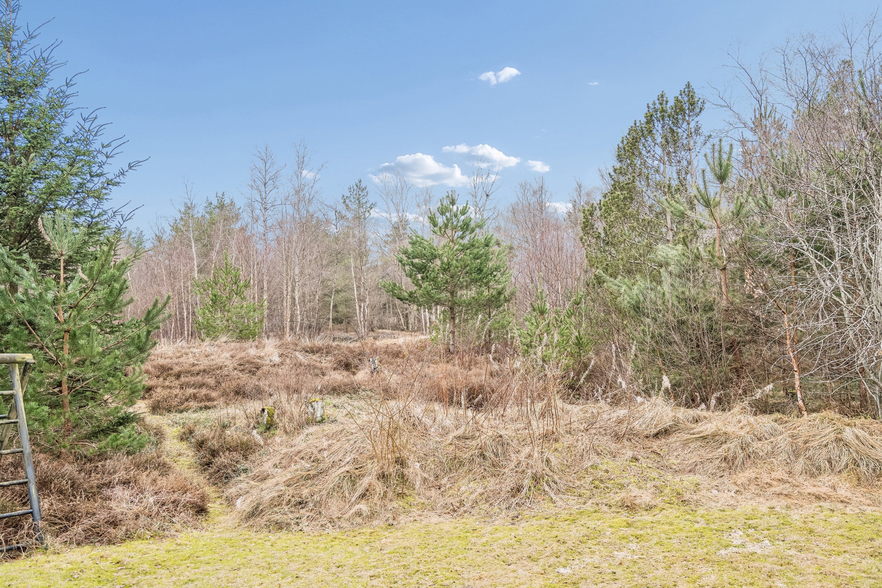 Fremhævet have billede i fuldskærmstilstand. Billede af Banstensvejen 98, Østerby, 9940 Læsø