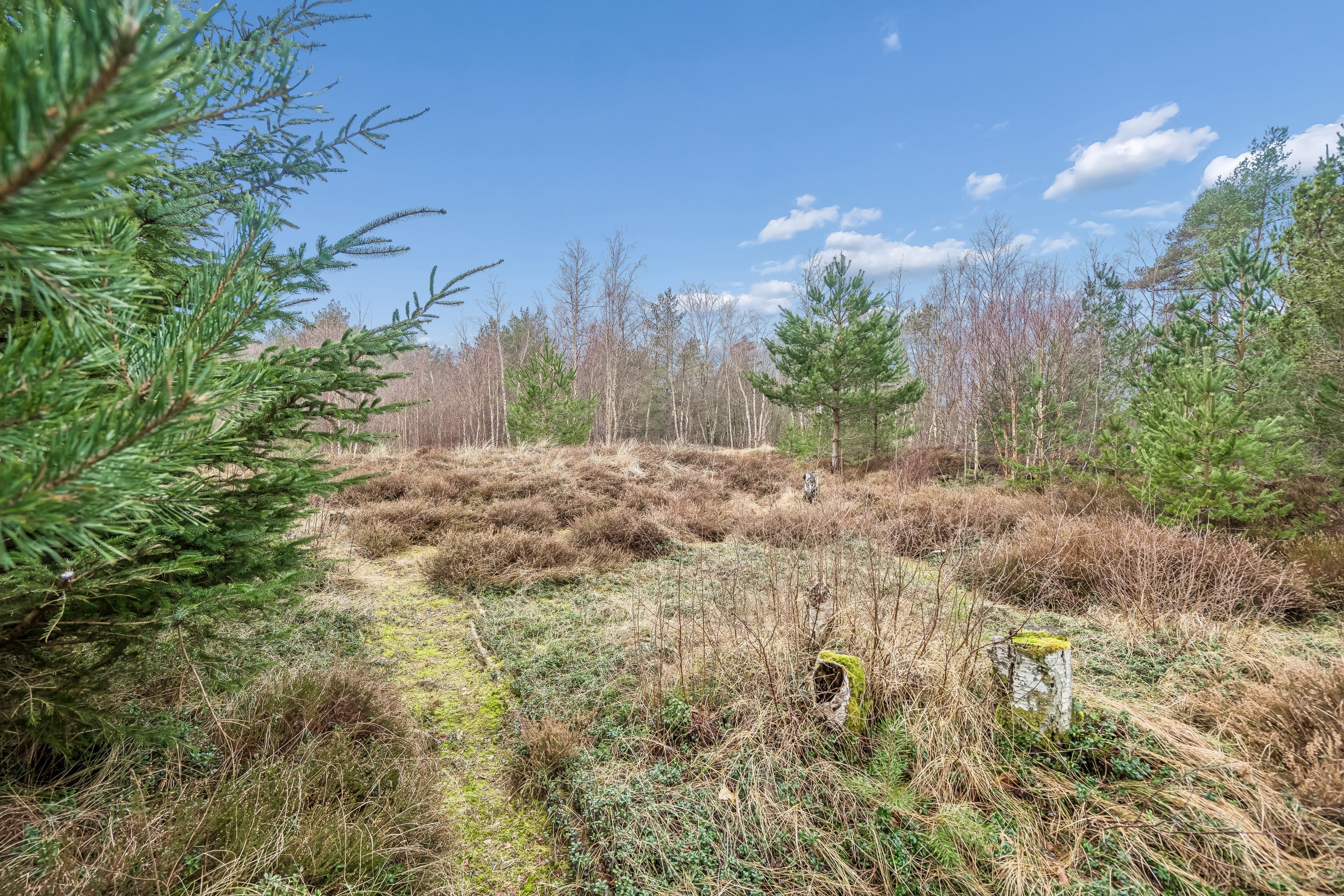 Fremhævet have billede i fuldskærmstilstand. Billede af Banstensvejen 98, Østerby, 9940 Læsø