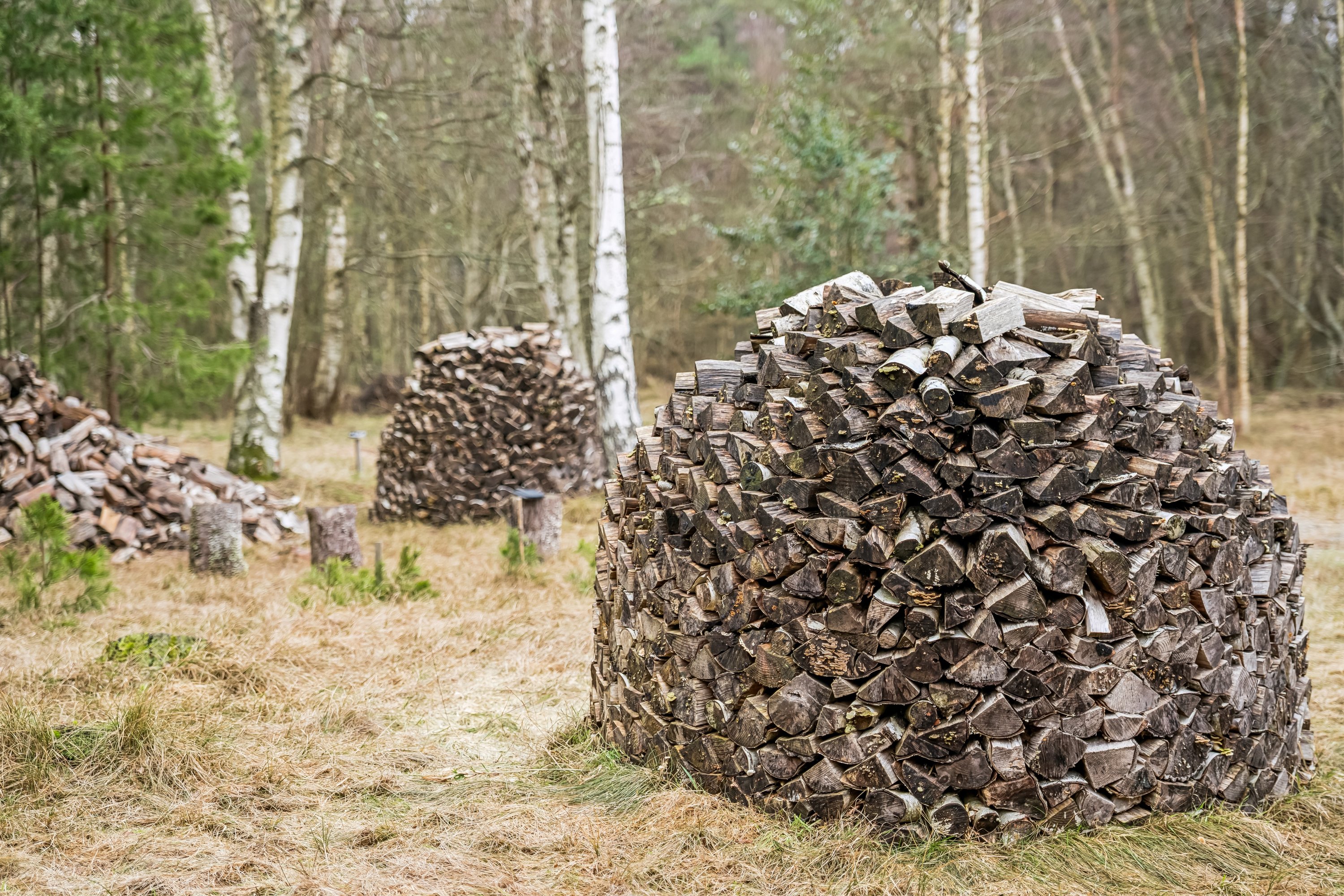 Fremhævet have billede i fuldskærmstilstand. Billede af Mosevej 8, Østerby, 9940 Læsø