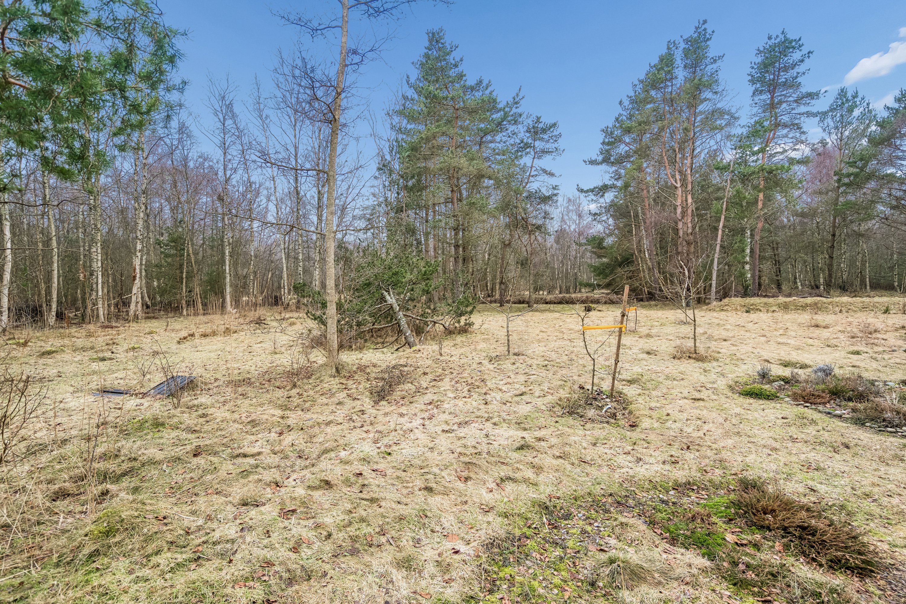 Fremhævet omgivelser billede i fuldskærmstilstand. Billede af Mosevej 8, Østerby, 9940 Læsø