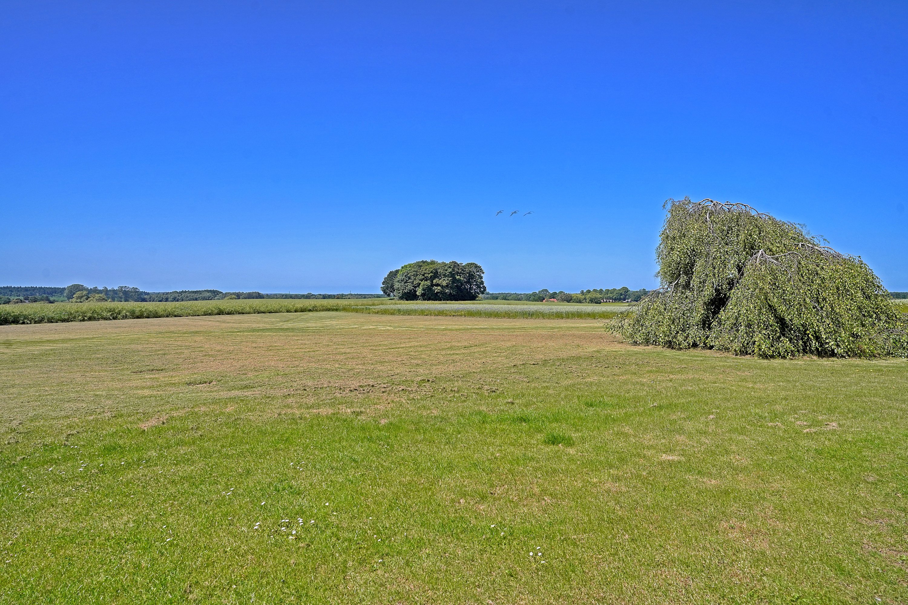 Fremhævet område billede i fuldskærmstilstand. Billede af Harløsevej 184, 3400 Hillerød