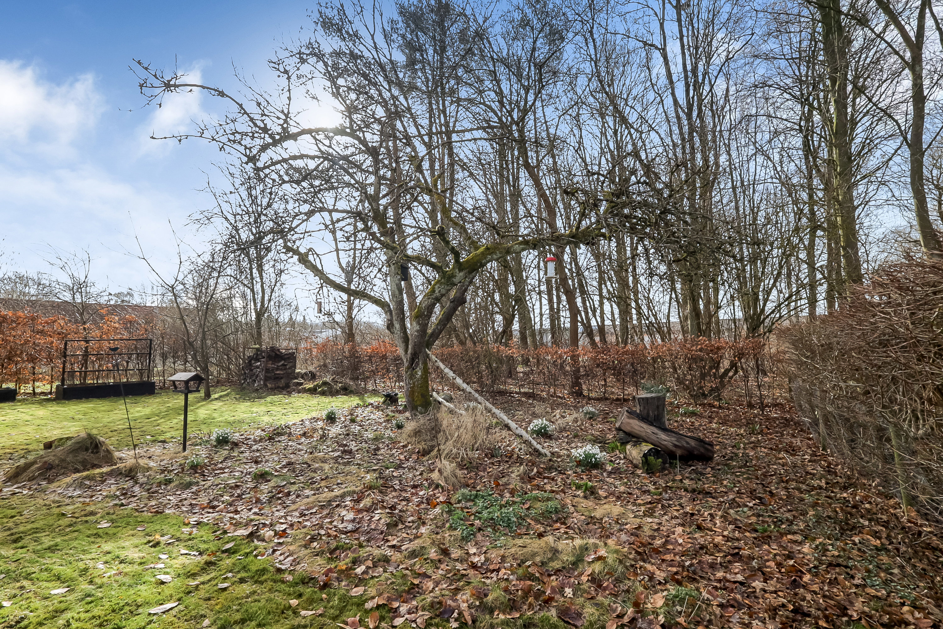 Fremhævet have billede i fuldskærmstilstand. Billede af Kirkestien 3, 5856 Ryslinge