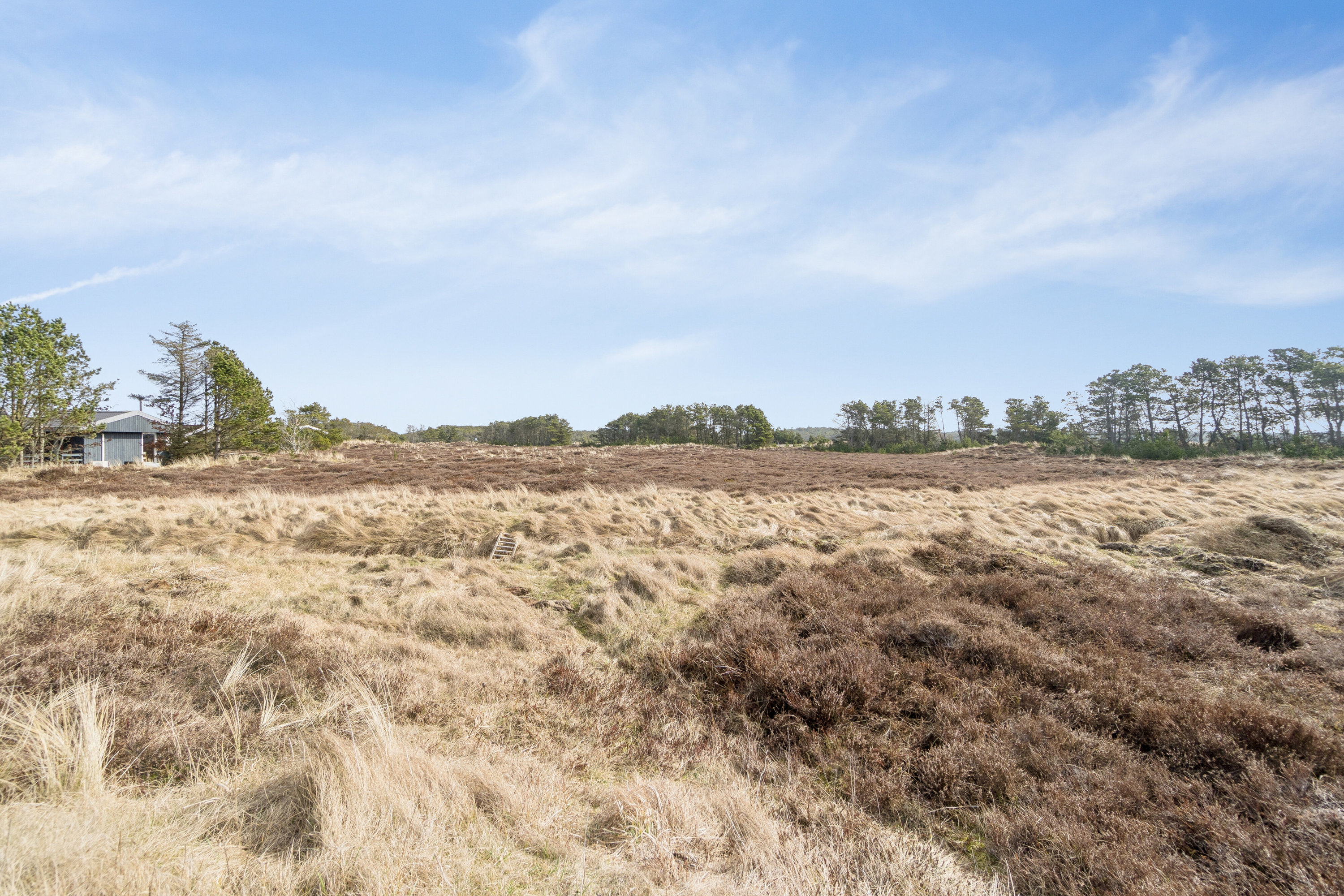 Fremhævet have billede i fuldskærmstilstand. Billede af Sletningen 5, Klitmøller, 7700 Thisted