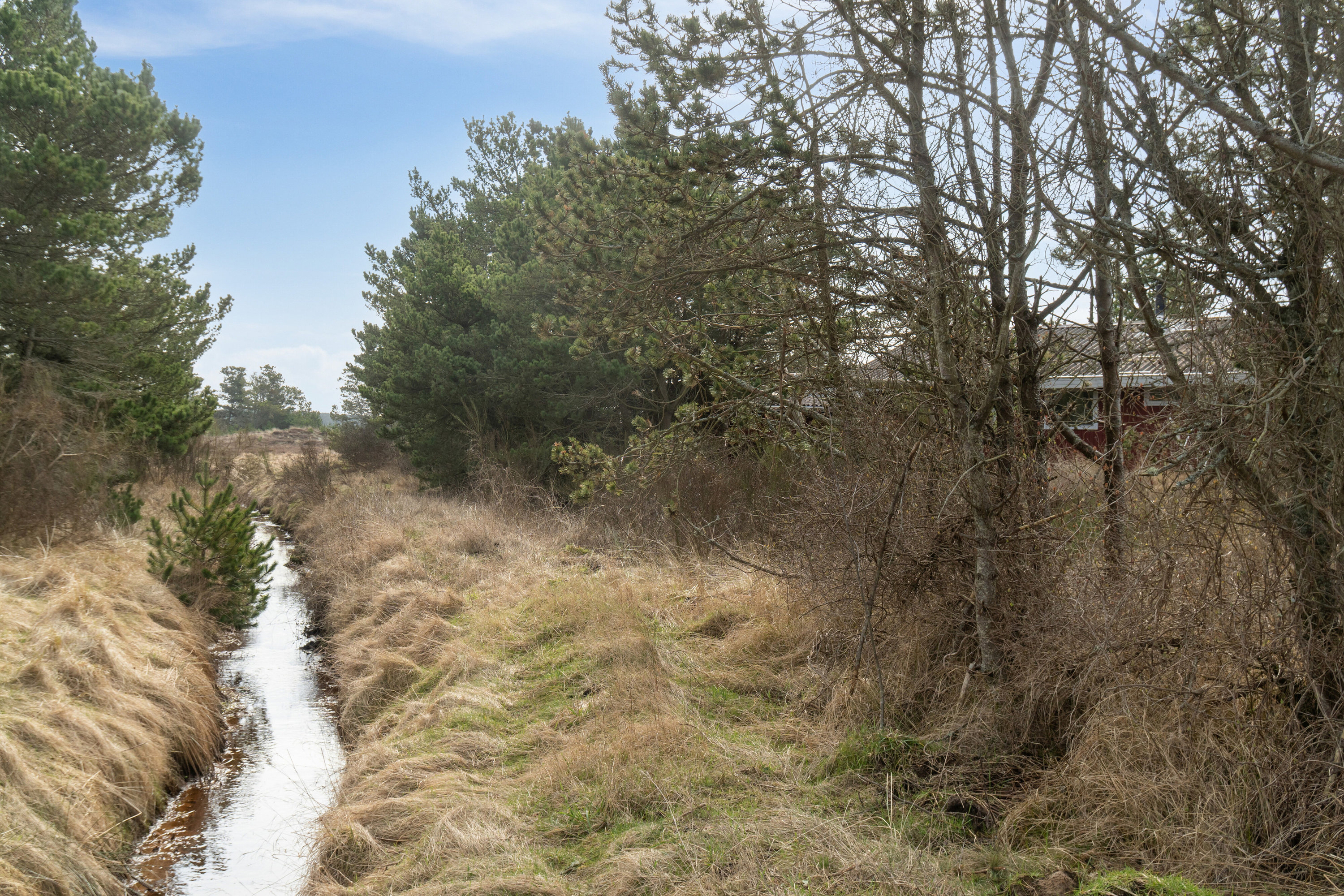 Fremhævet udendørs billede i fuldskærmstilstand. Billede af Sletningen 5, Klitmøller, 7700 Thisted